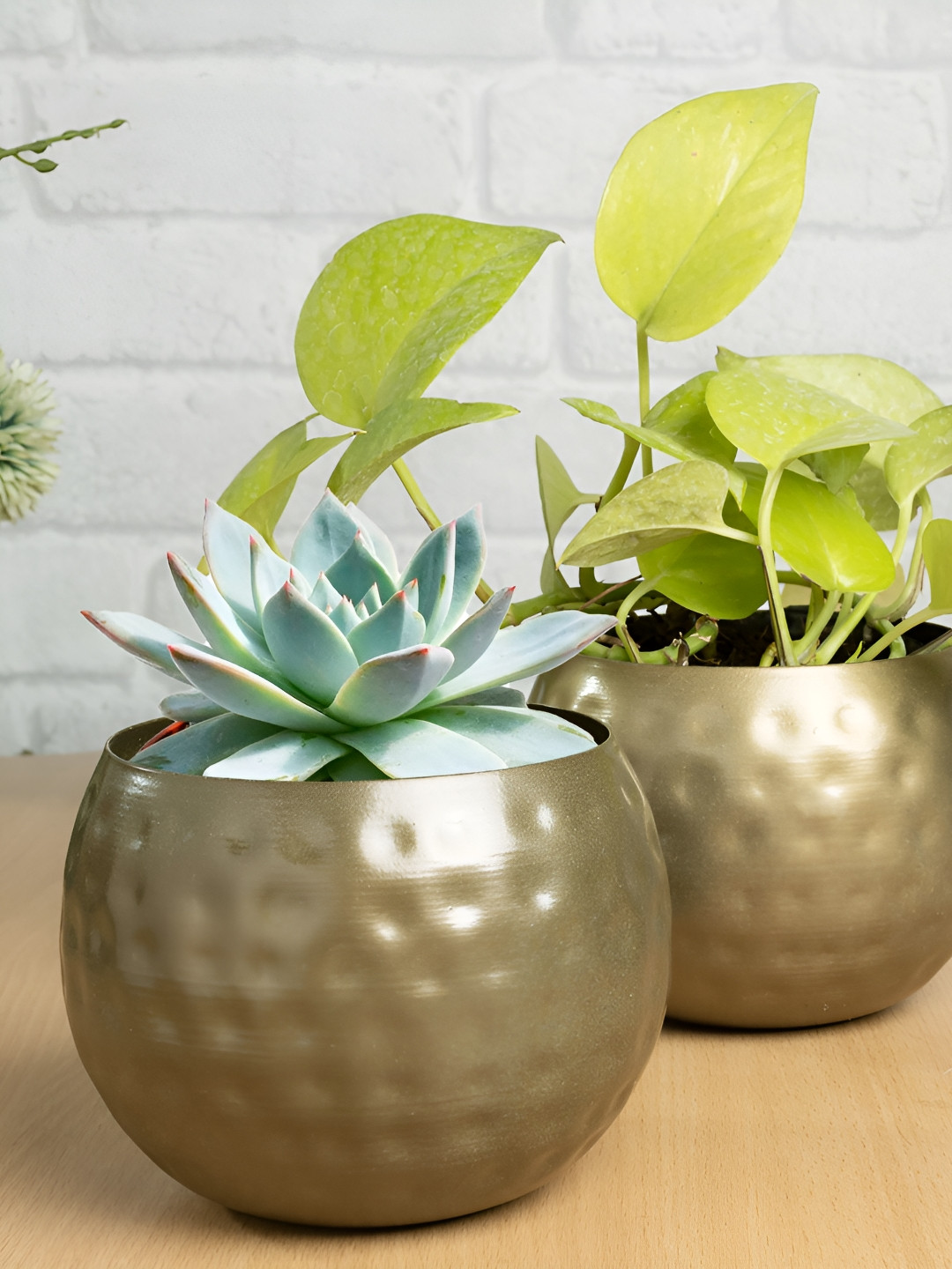 Homesake Gold-Toned 2 Pieces Hammered Country Style Metal Belly Bucket Planters