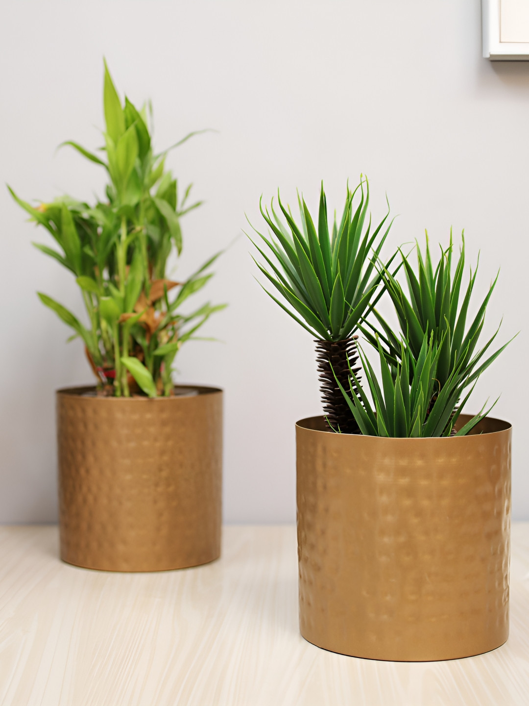 Homesake Gold-Toned 2 Pieces Cylindrical Shaped Hammered Metal Planters
