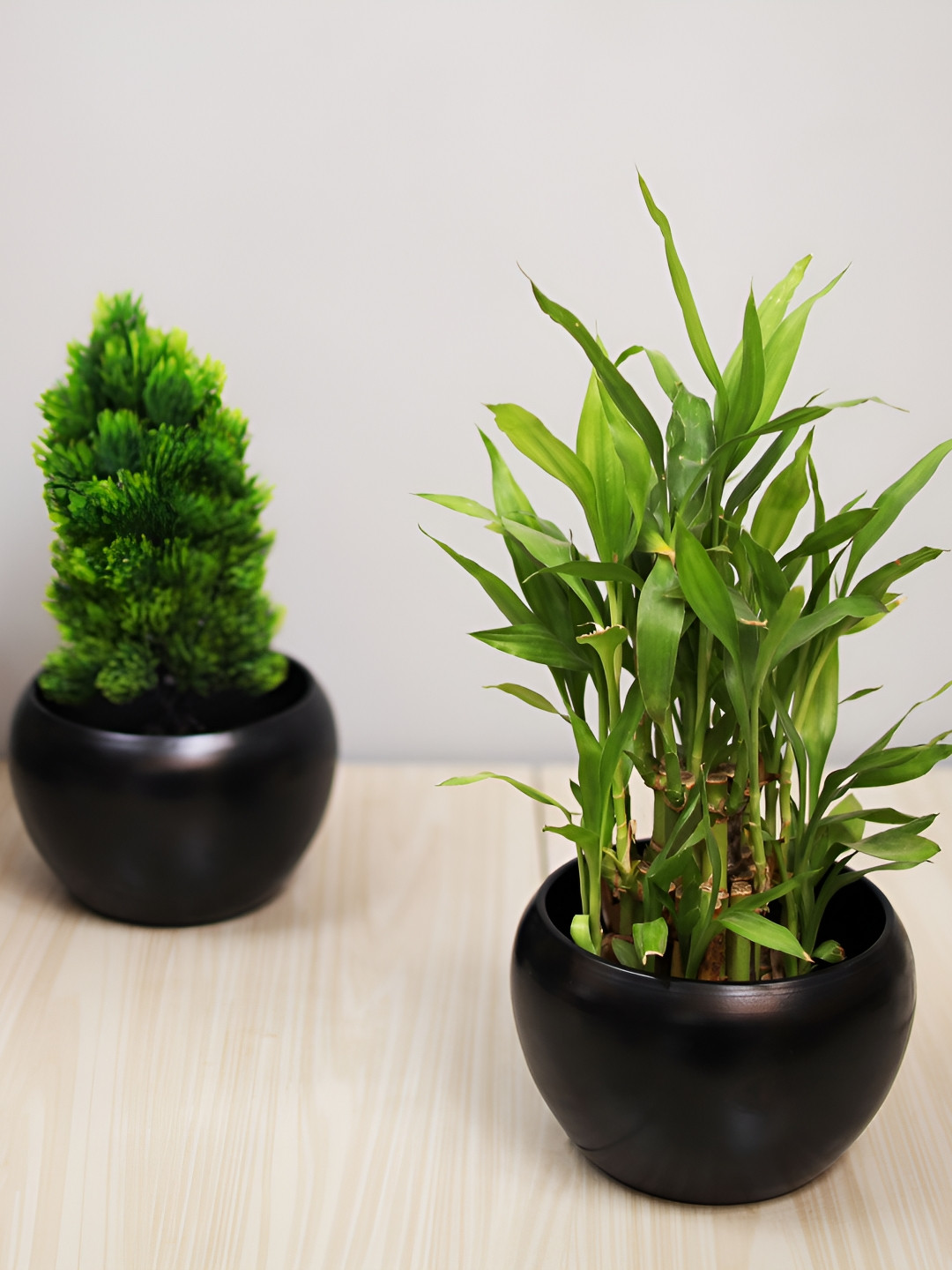 Homesake Black 2 Pieces Round Metal Planters