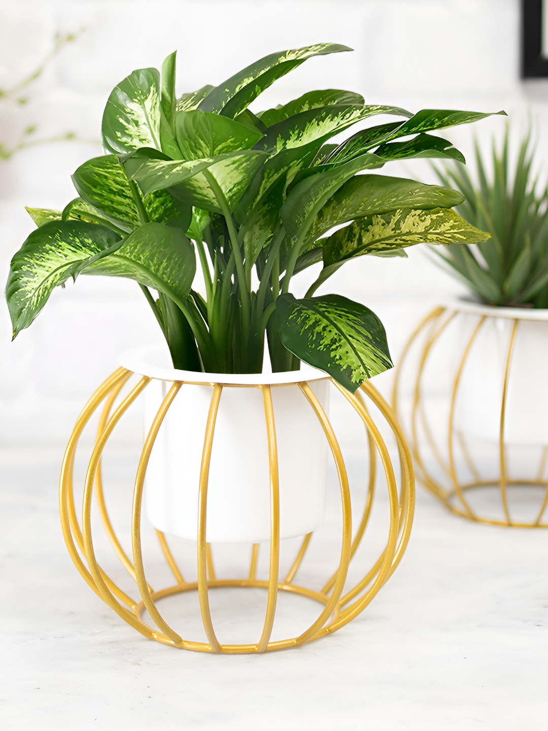 Homesake Gold-Toned & White 2 Pieces Diffenbachia Artificial Plant With Pot