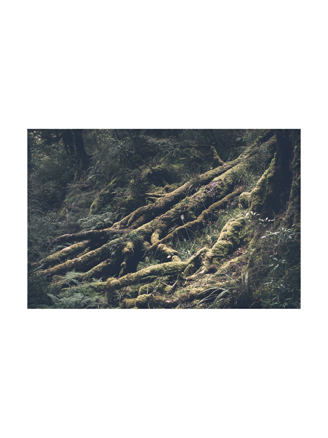 Inephos Green And Brown Abstract Printed Canvas Wall Art