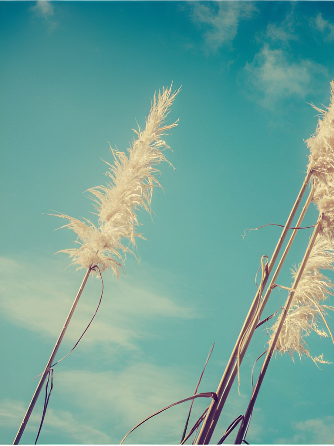 Inephos White And Blue Floral And Botanical Printed Canvas Wall Art