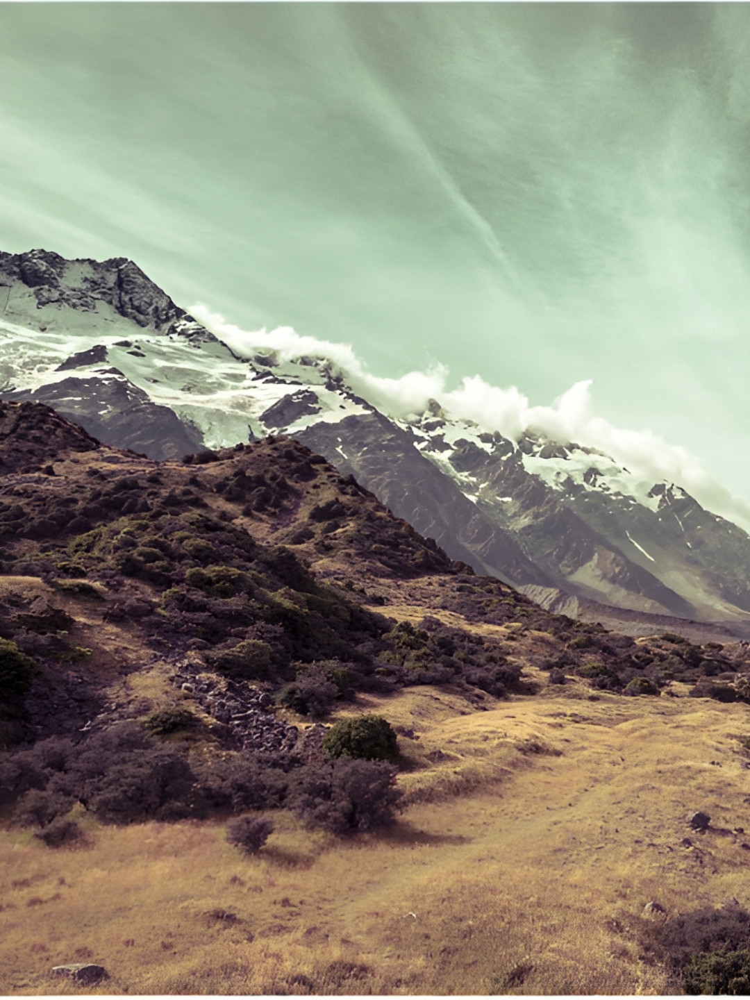 Inephos Green And Brown Printed Wall Art