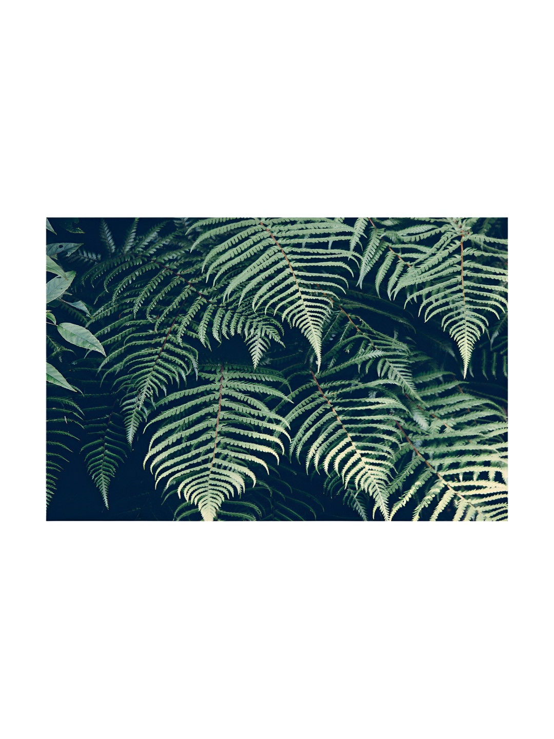 Inephos Green & White 1 Piece Floral and Botanical Printed Canvas Wall Art