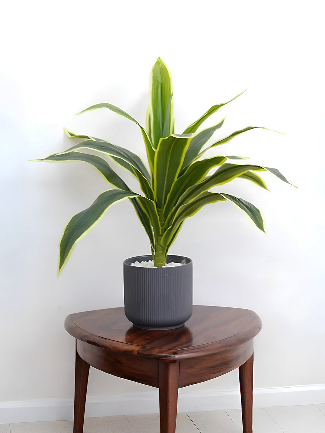 Royaloak Green Dracaena Lime Artificial Plant With Pot