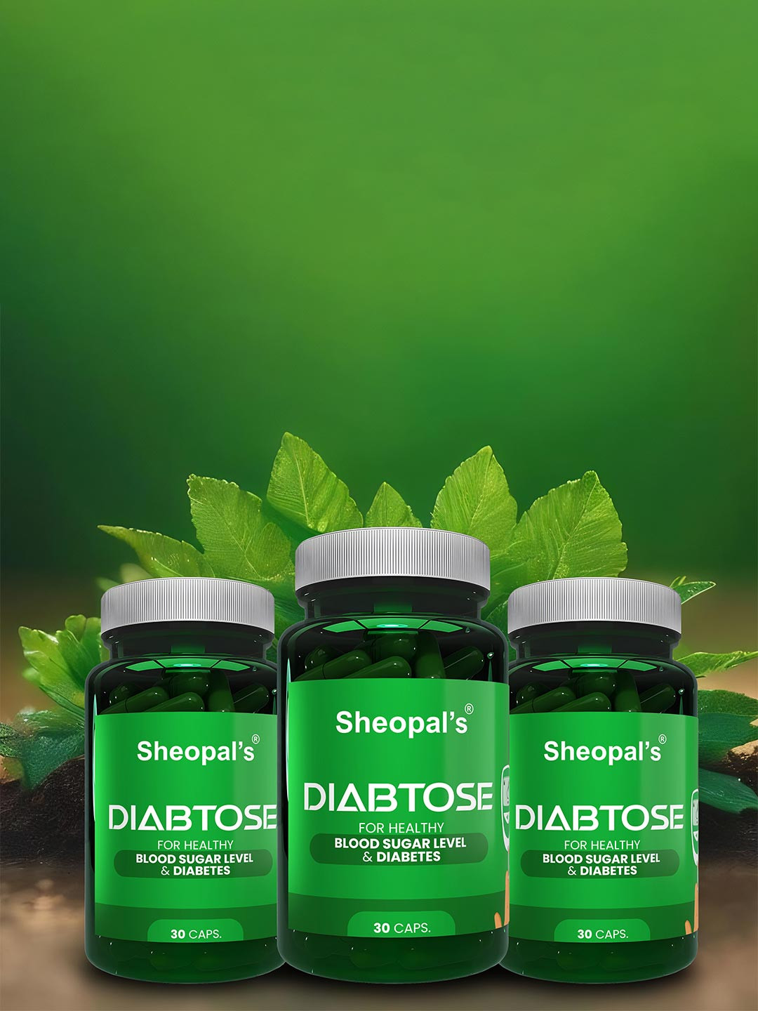 Sheopal's Set Of 3 Diabtose Capsule For Diabetes & Sugar Level Control - 30 Capsules Each