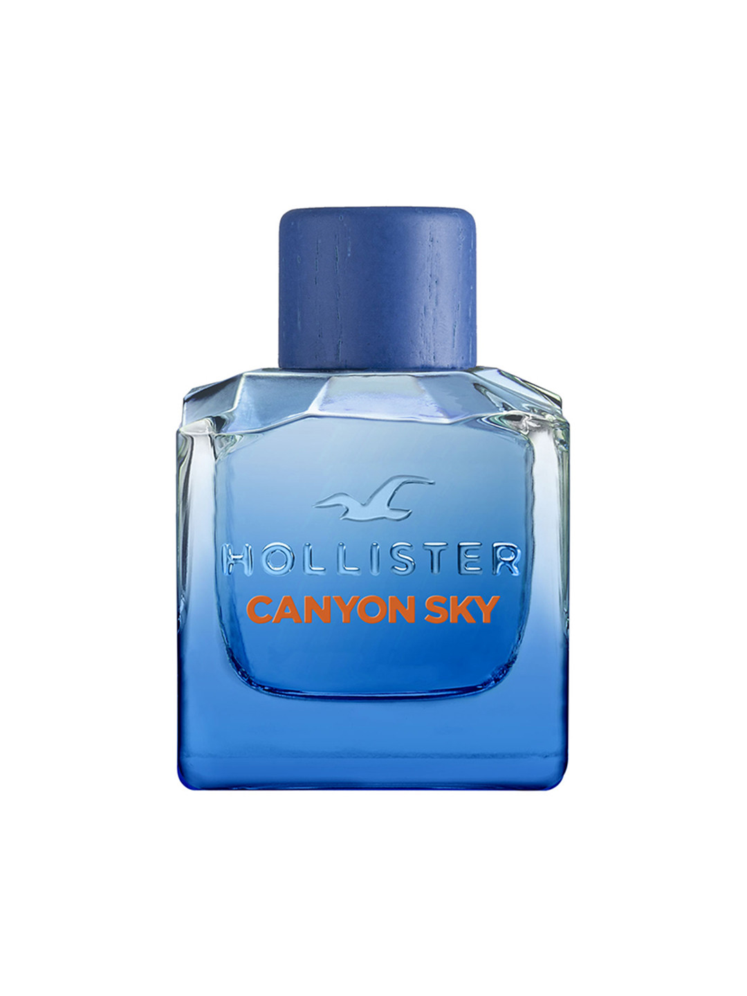 HOLLISTER Men Canyon Sky Long Lasting Eau de Parfum - 100 ml