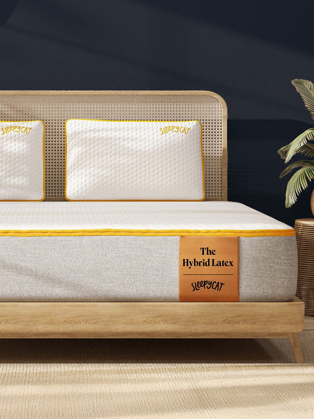 SleepyCat Hybrid Latex Orthopedic 8 inch Thickness Single Size Mattress 72x36x8 Inches