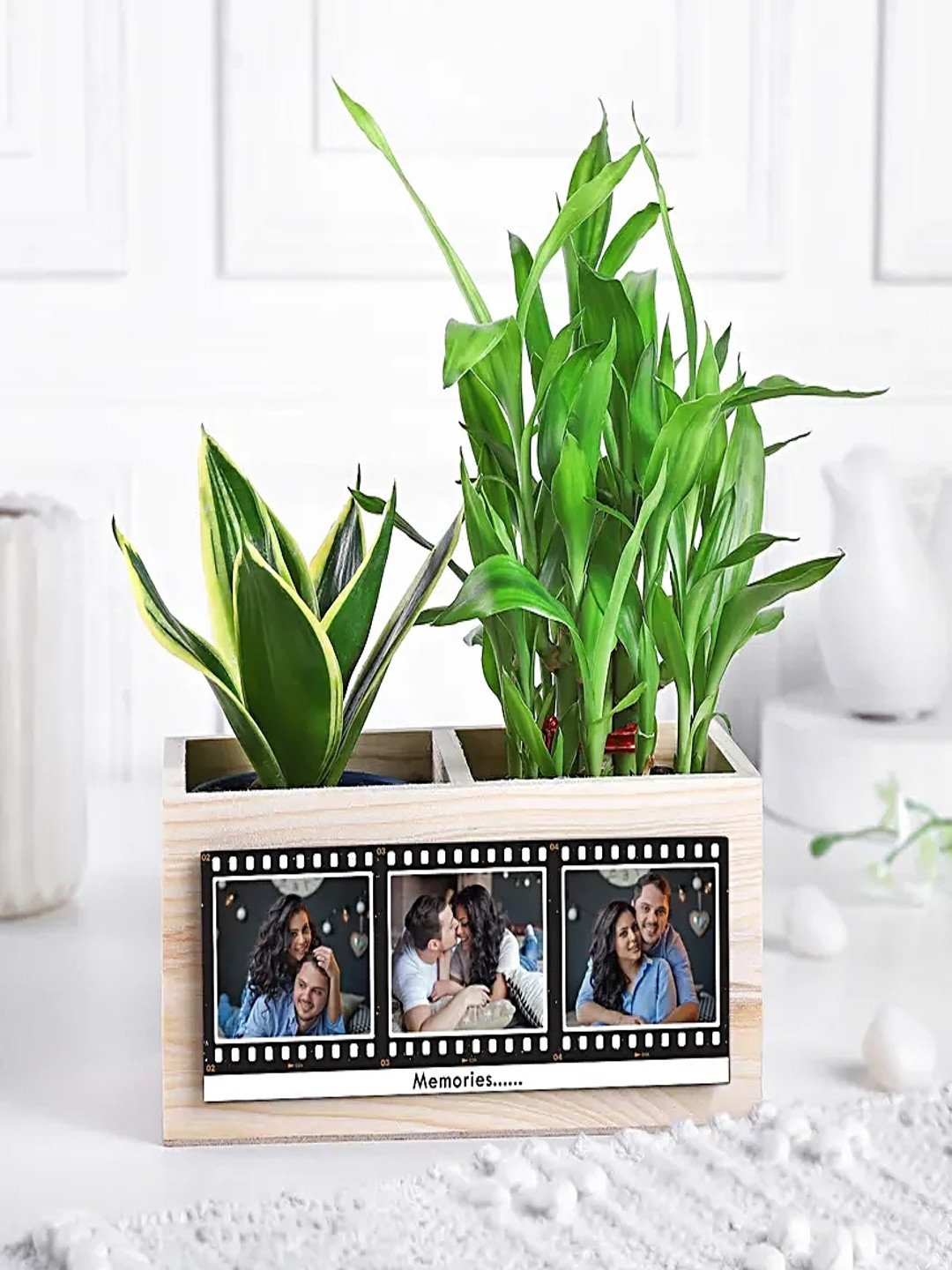 fnp 2-Pcs Indoor Milt Sanseveiria & 2 Layer Bamboo Plants With Love & Luck Plant Organizer