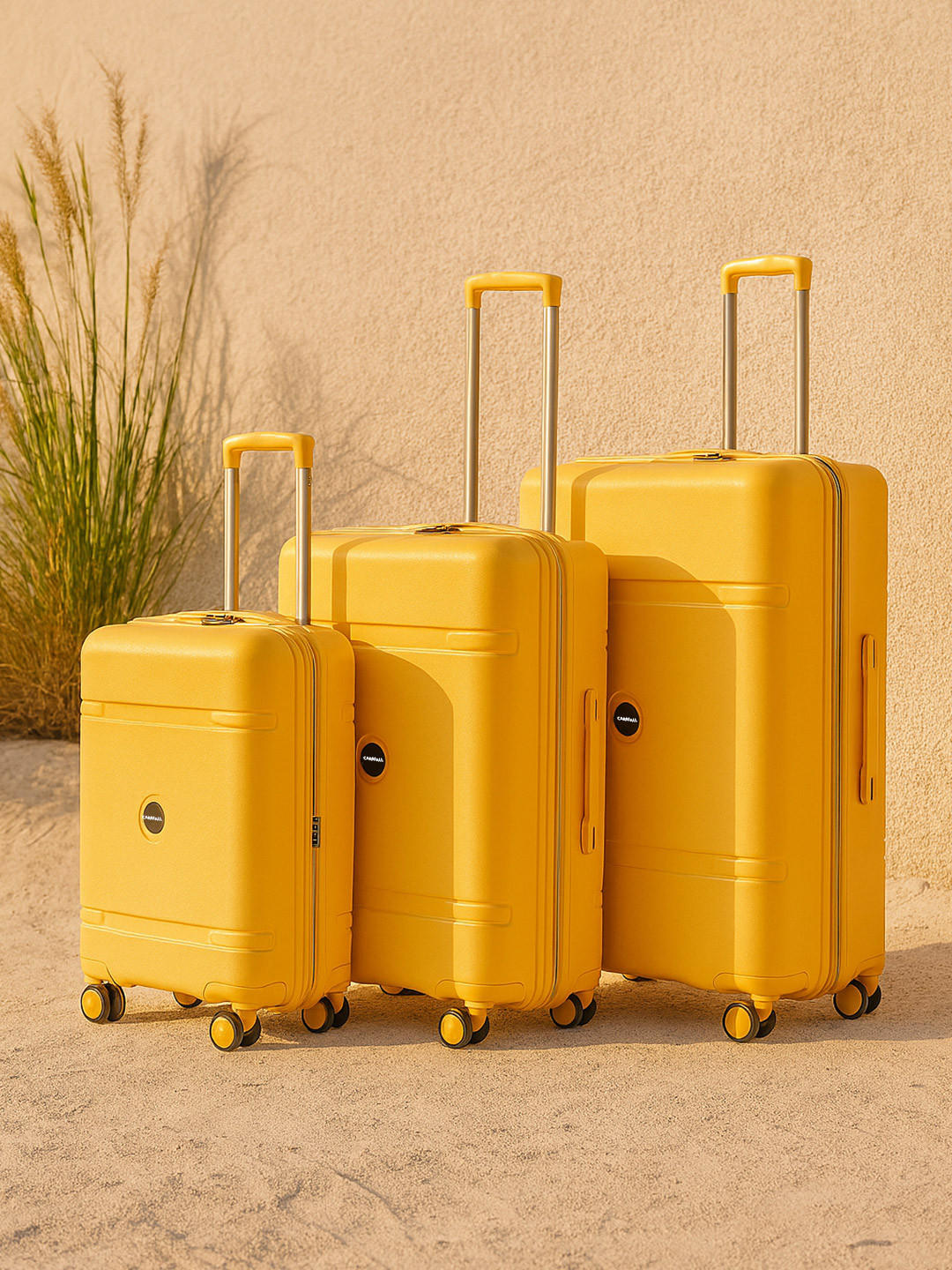 CARRIALL drift Set Of 3 Textured Hard-Sided Trolley Bags