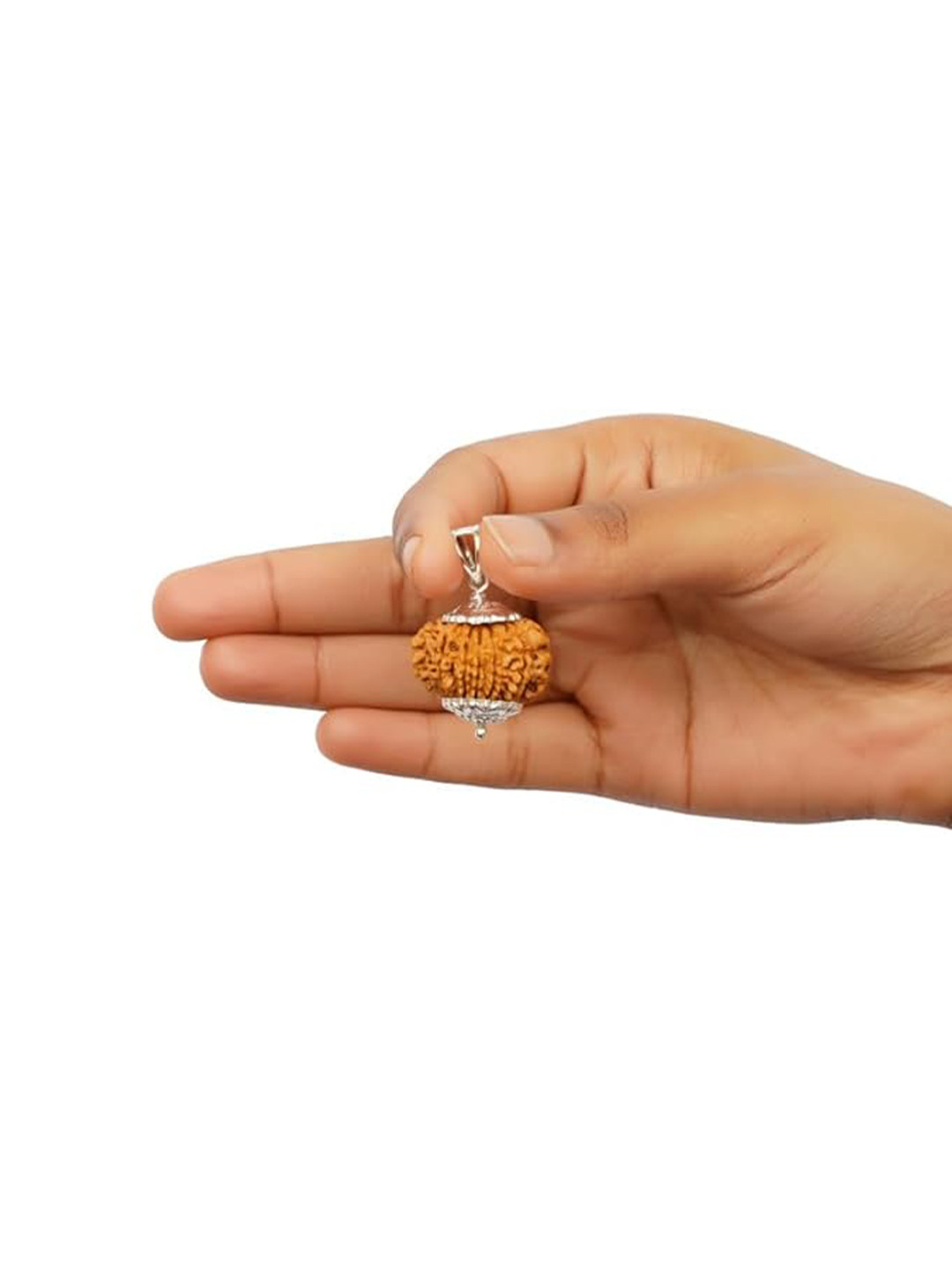 Gemsmantra Unisex 12 Mukhi Rudraksha With Silver Pendant