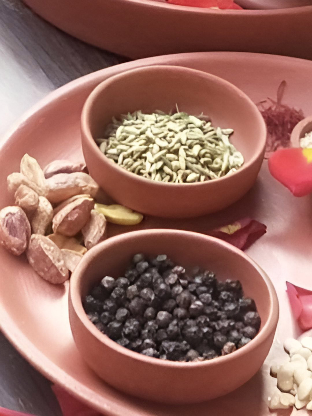 The handicraftian Brown 10 Pieces Terracotta Microwave Safe Dip Bowl