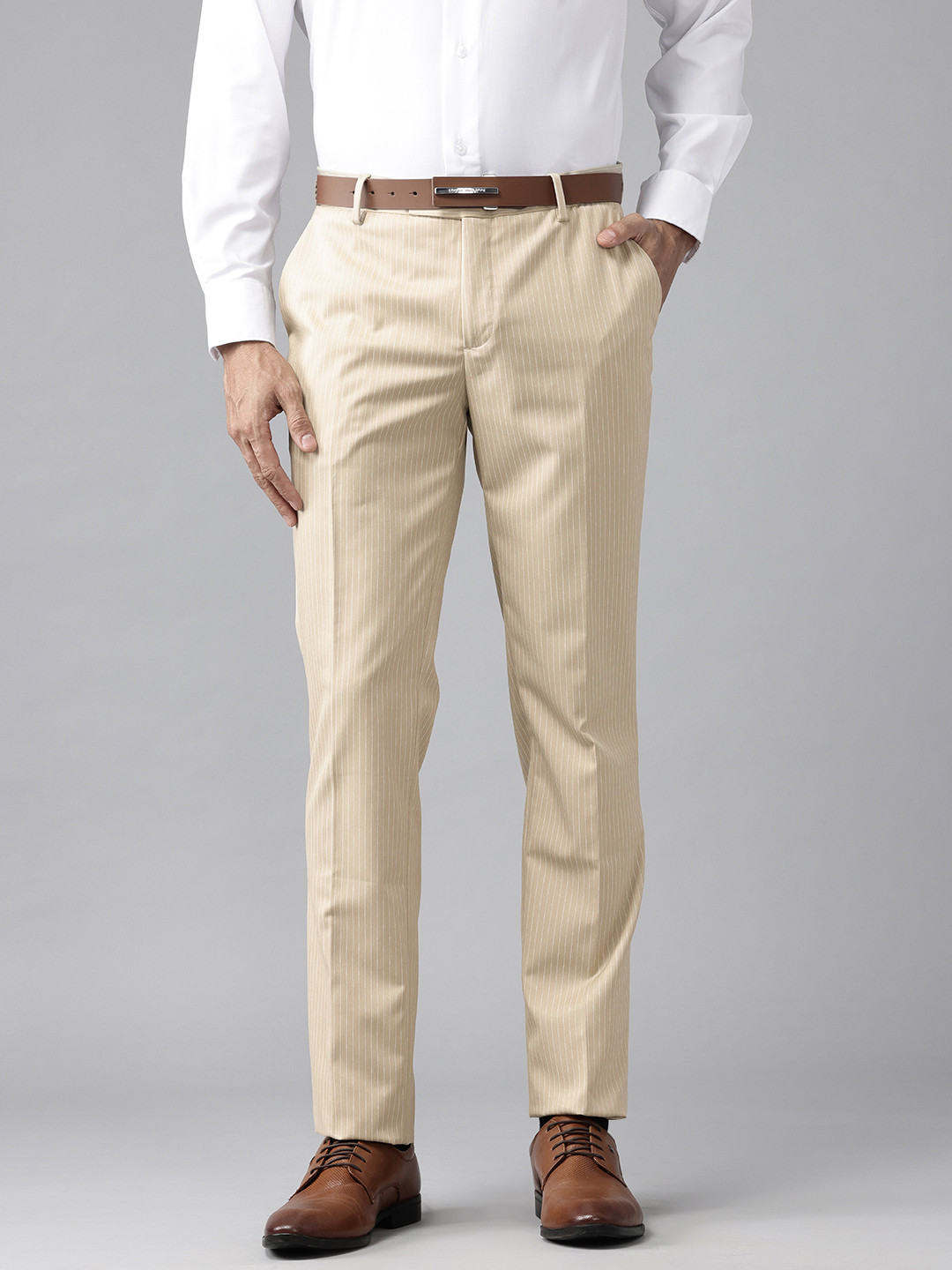 Arrow Men Pinstripe Tapered Fit Formal Trousers