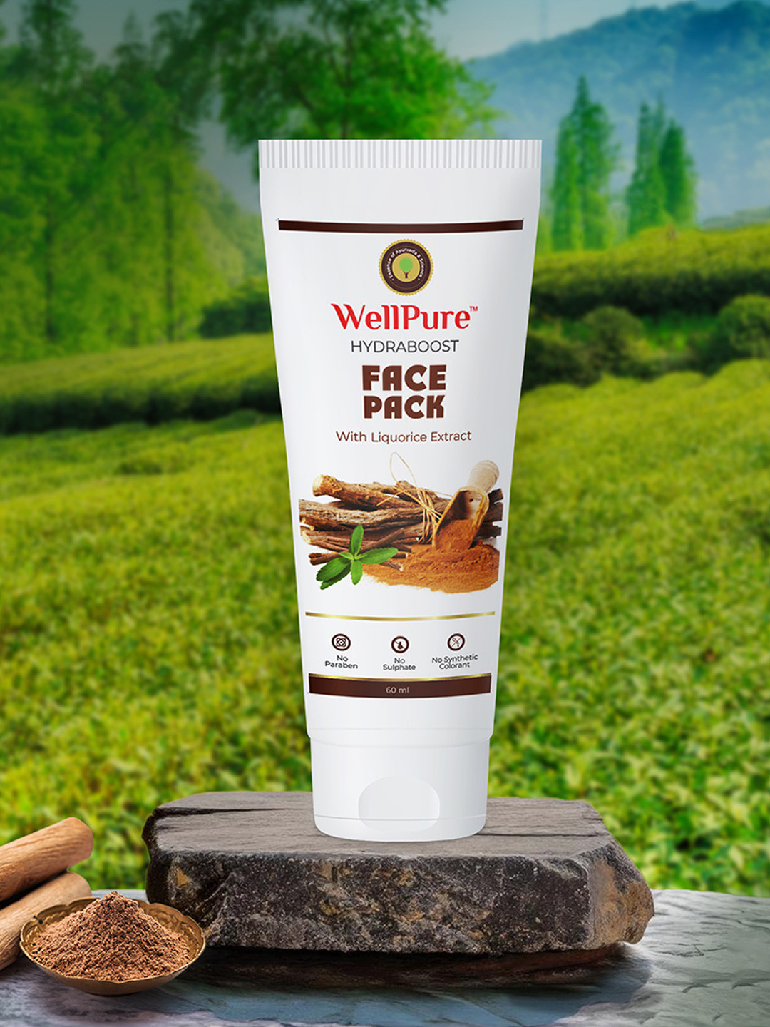 wellpure Hydraboost Face Pack For Deep Hydration & Nourishment- 60 ml