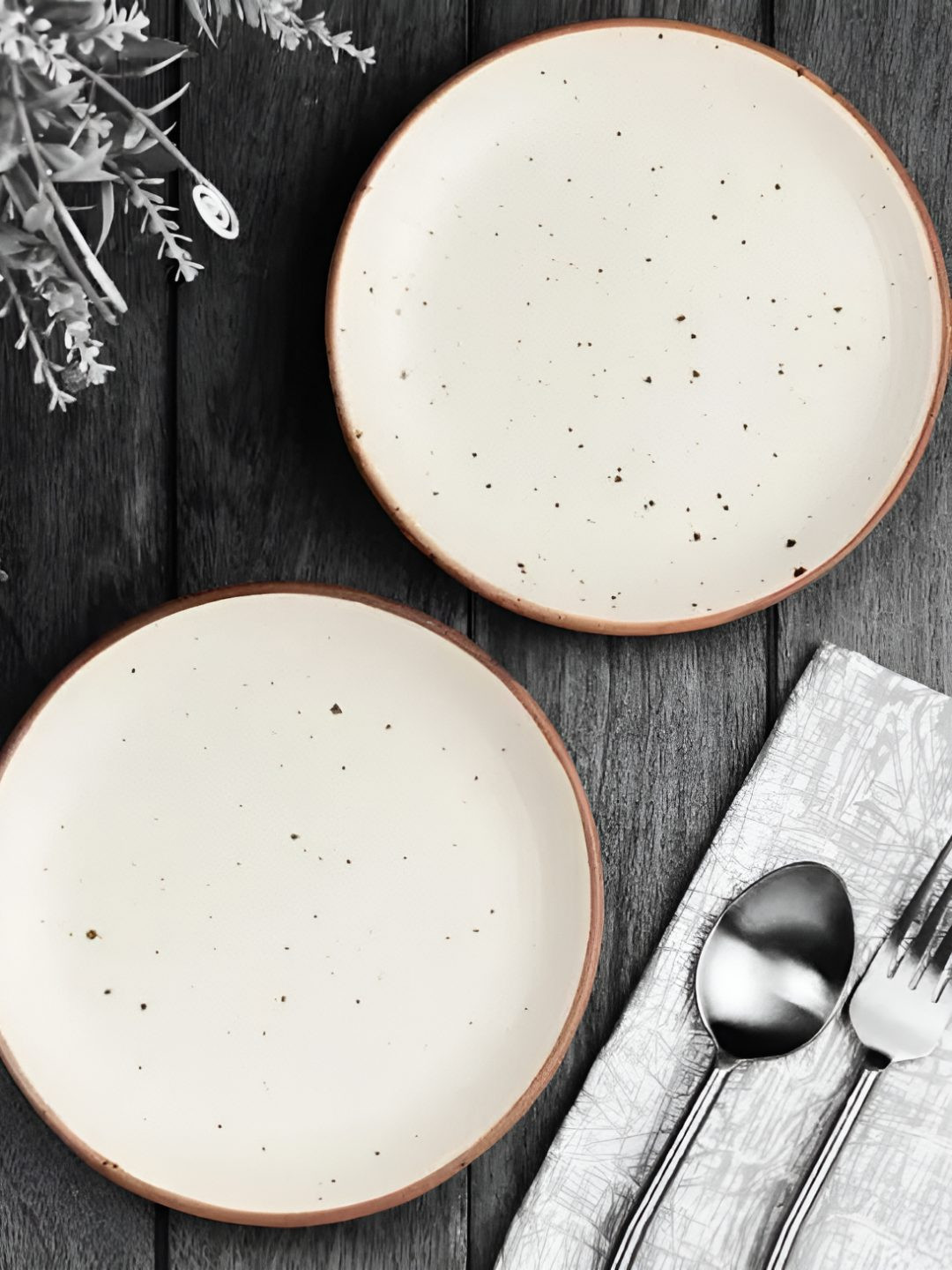 Calcine Industries White 2025 2 Pieces Ceramic Dishwasher and Microwave Safe Plates