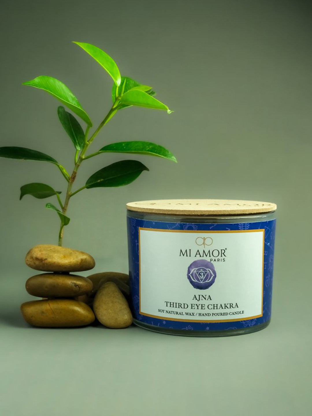 MI AMOR PARIS Third Eye Chakra Lead-Free Wick 3 Wick Scented Abstract Jar Candles