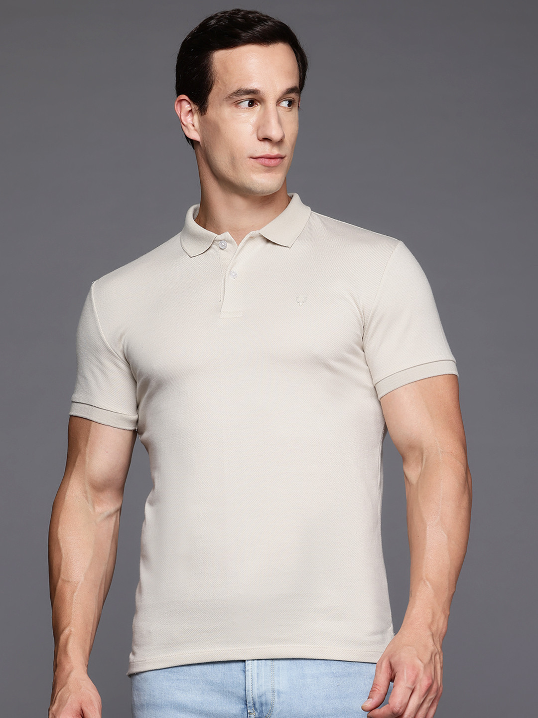 Allen Solly Knitted Polo Collar T-shirt