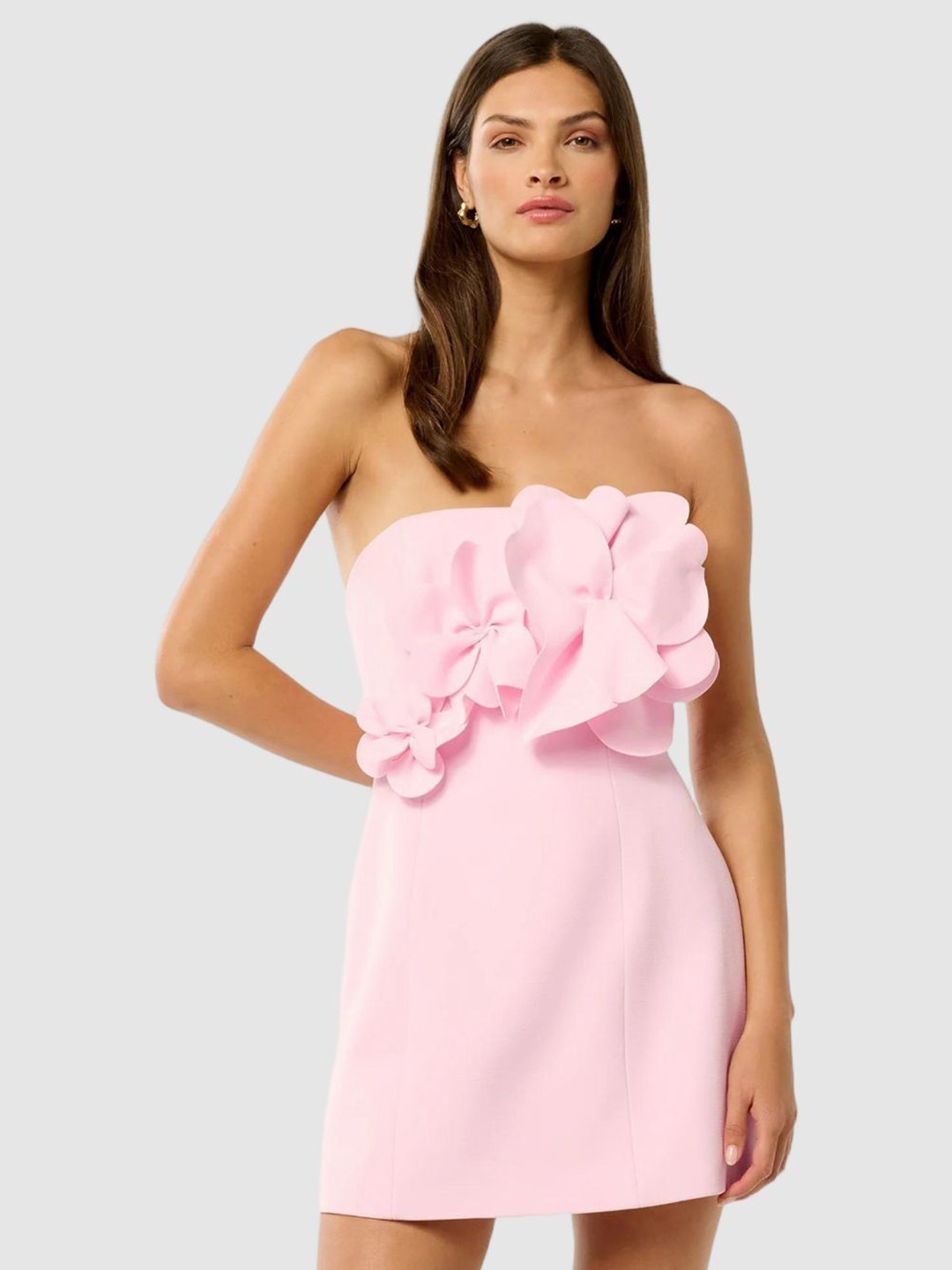 Forever New Women Floral Applique Crepe A-Line Mini Dress
