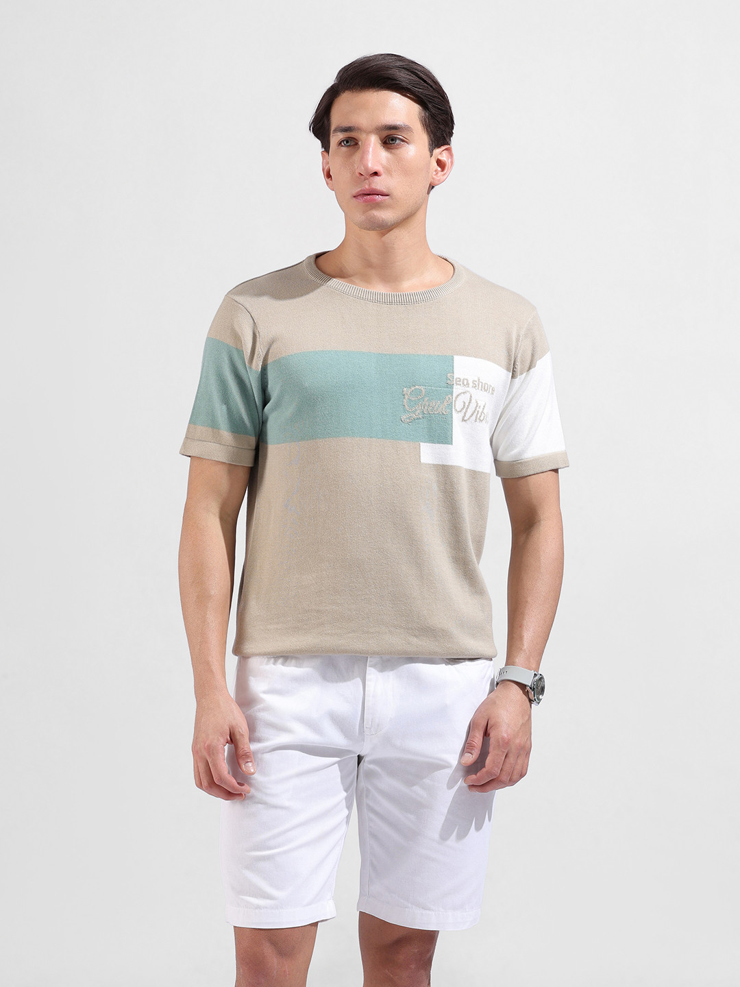 The Indian Garage Co Men Flat Knit Slim Fit Colourblocked T-Shirt