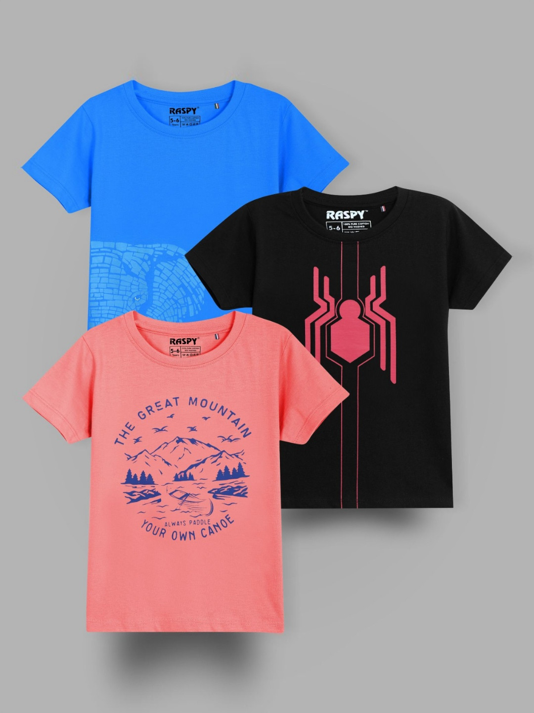 RASPY Boys Graphic Printed Pack Of 3 Round Neck Pure Cotton Regular Fit Tshirts