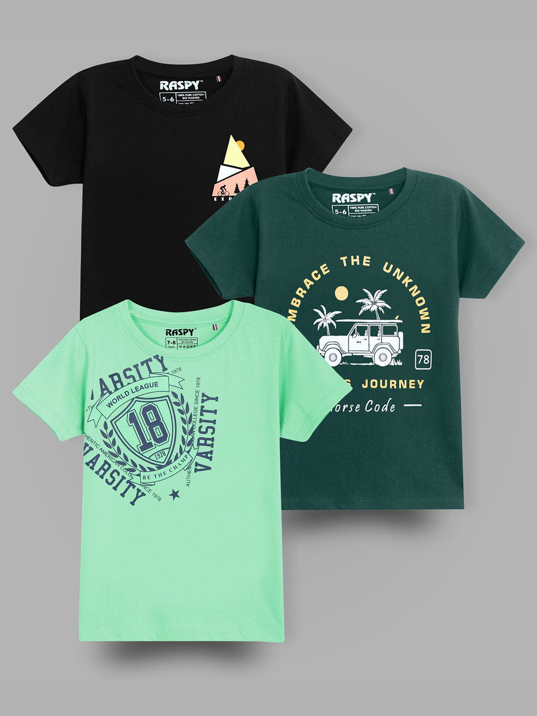 RASPY Boys Pack Of 3 Graphic Printed Round Neck Pure Cotton Regular Fit T-Shirts