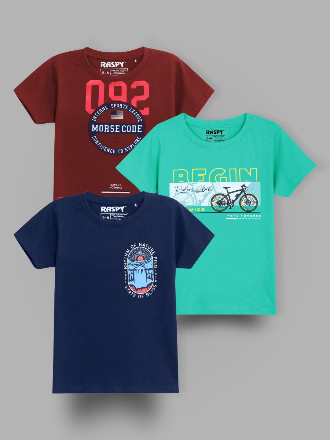 RASPY Boys Pack Of 3 Graphic Printed Round Neck Pure Cotton Regular Fit T-Shirts