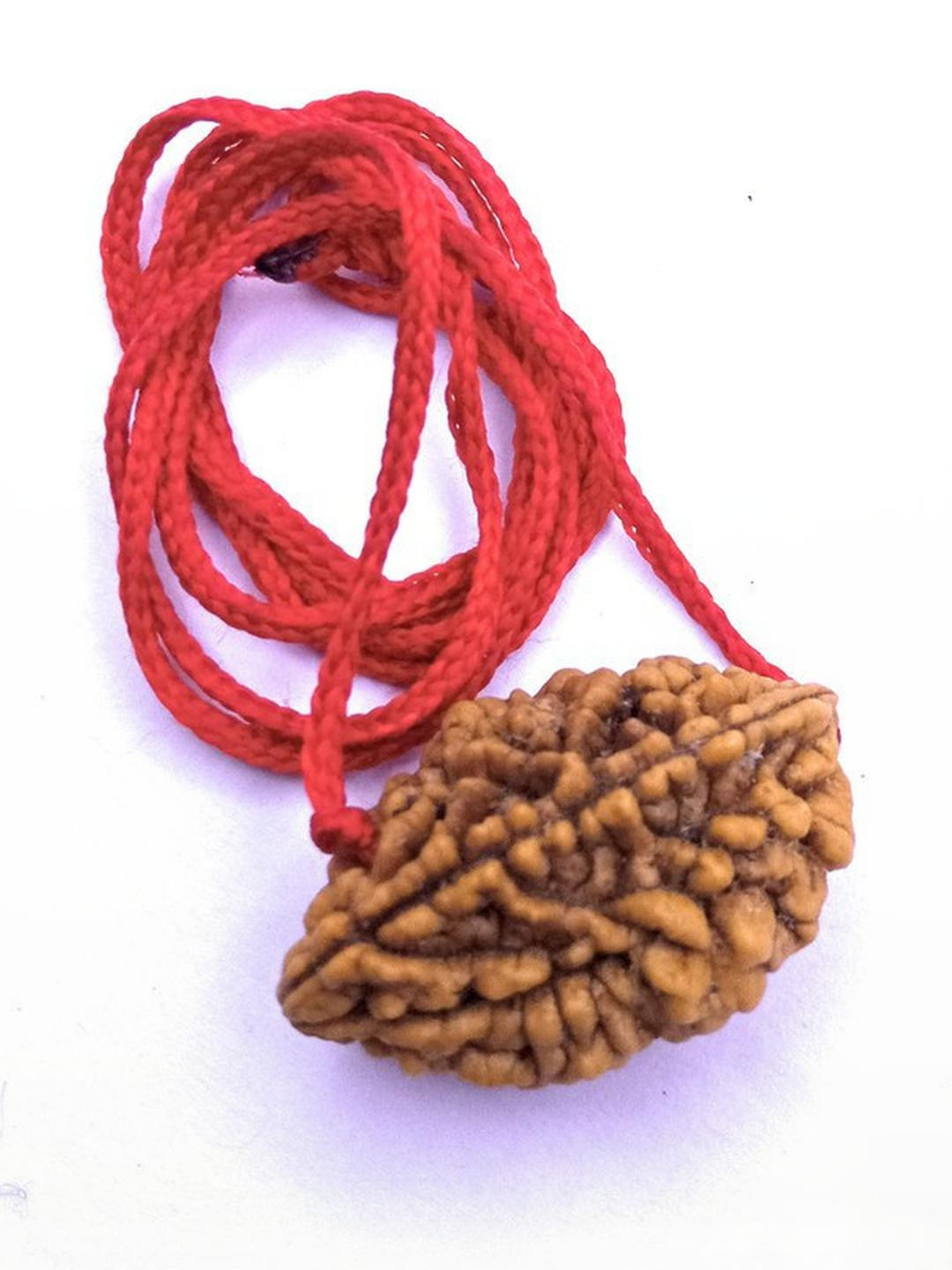 RAVIOUR LIFESTYLE Rudraksh pendant