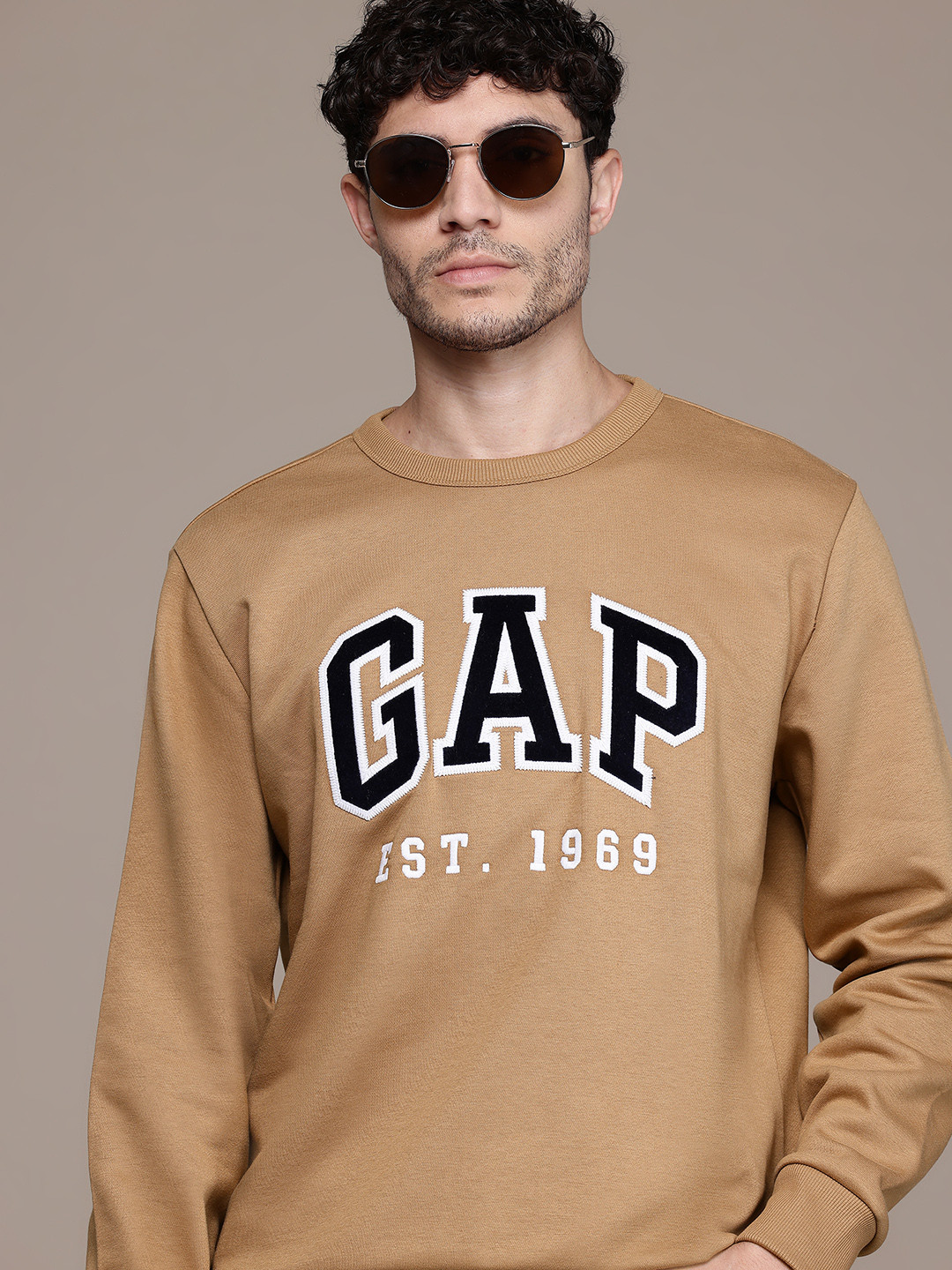 GAP Brand Logo Self-Design Applique Detail Pullover with Inner Fleece
