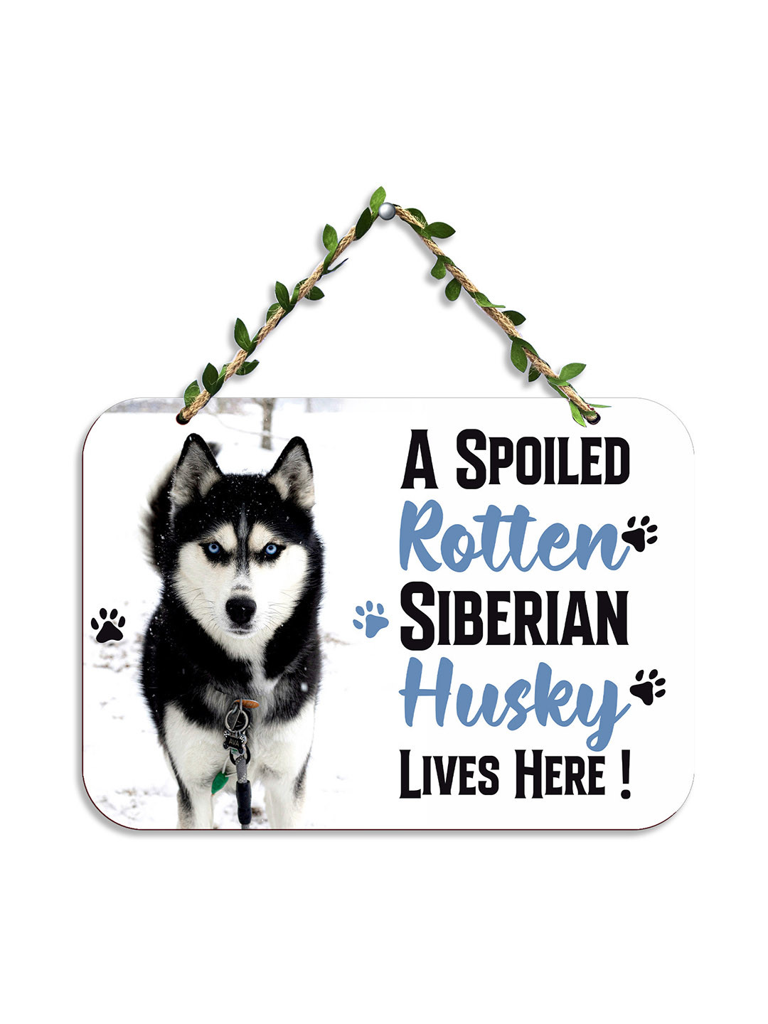 Arpita Crafts Pet Lover Wall Hanging