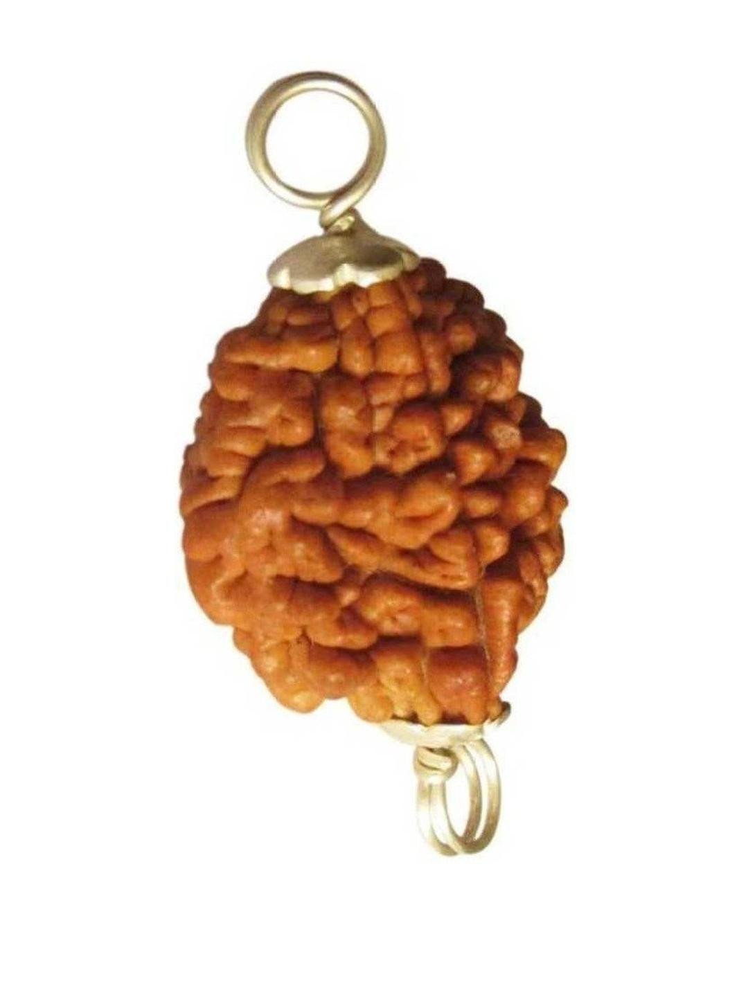 RAVIOUR LIFESTYLE Brown Rudraksha Oval Pendants