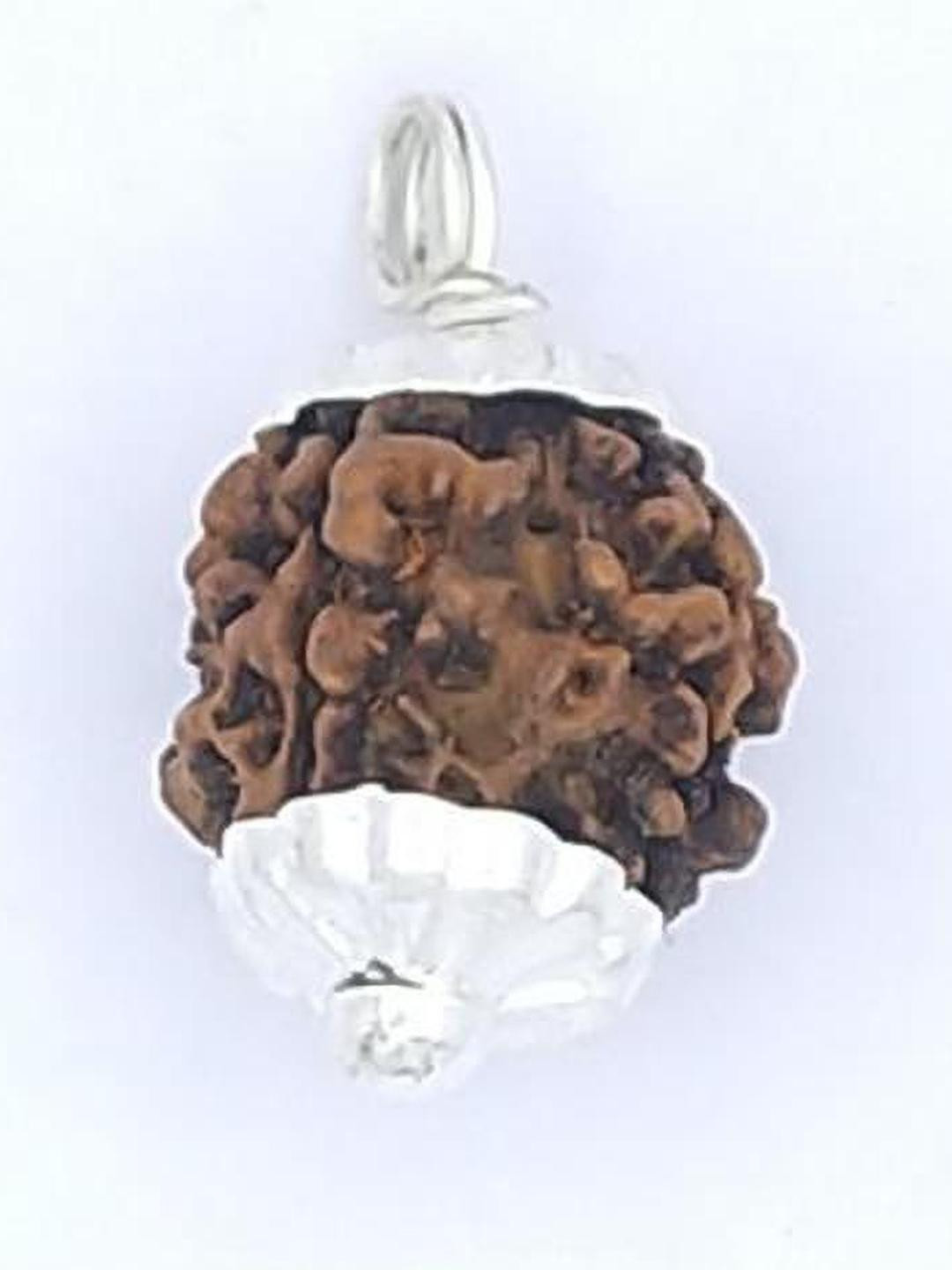 RAVIOUR LIFESTYLE Rudraksha Silver-Plated Pendants
