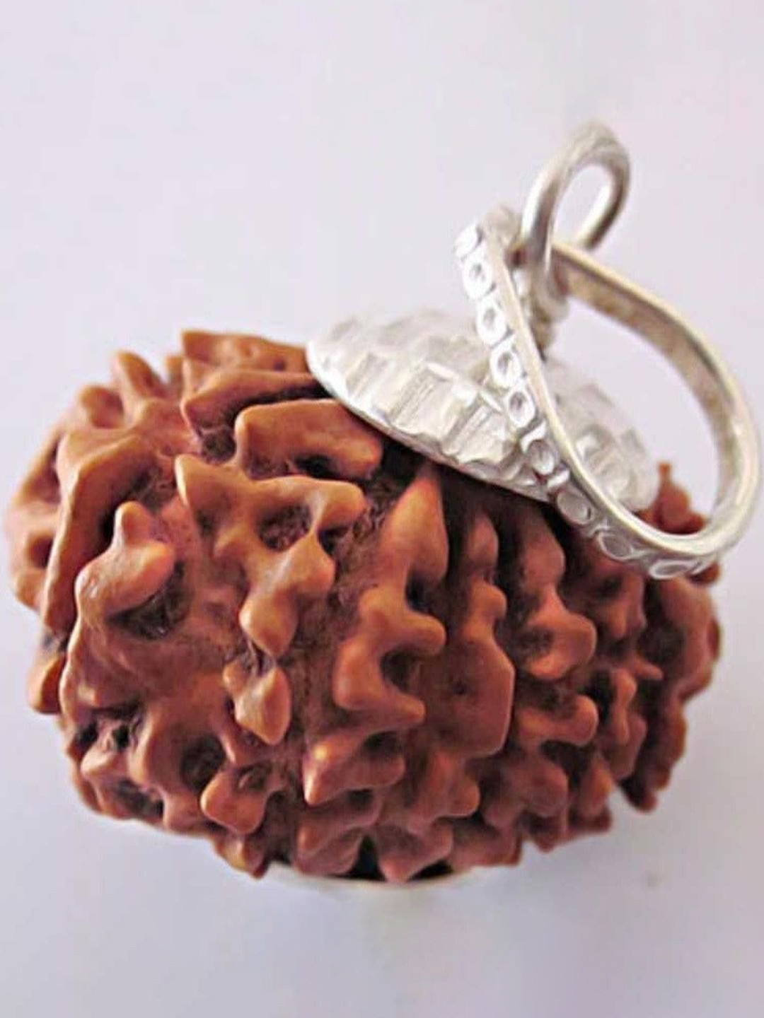 AURRA STORES 12 Mukhi Rudraksh Pendant