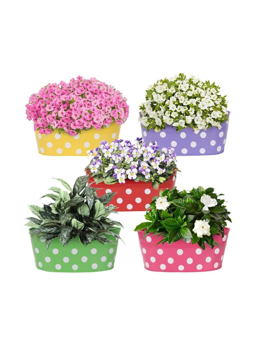 Go Hooked Set of 5 Metal Railing Planter