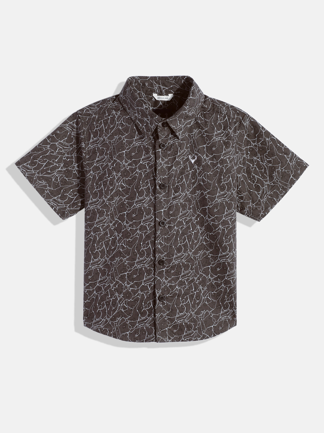 Allen Solly Junior Boys Standard Printed Pure Cotton Casual Shirt