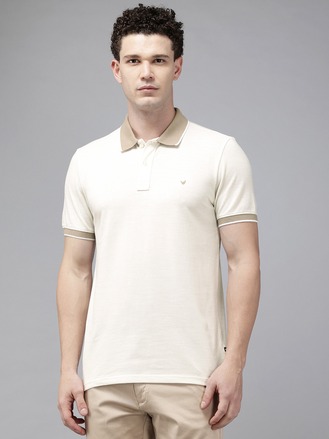 Blackberrys Solid Polo Collar T-shirt with Contrasting Collar