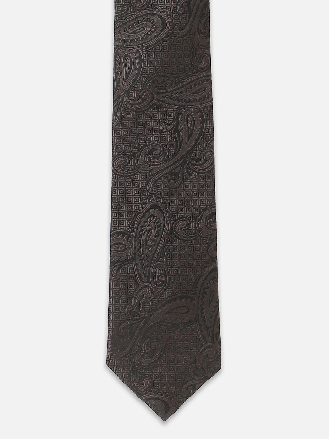 Peter England Men Ethnic Printed Broad Tie