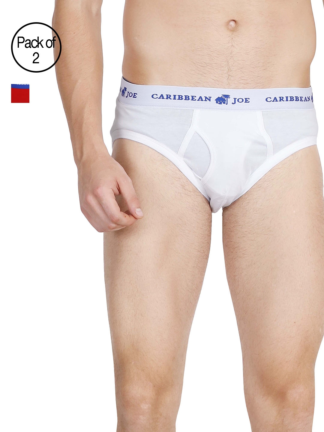 Caribbean joe Men Cotton Pack of 2 Briefs