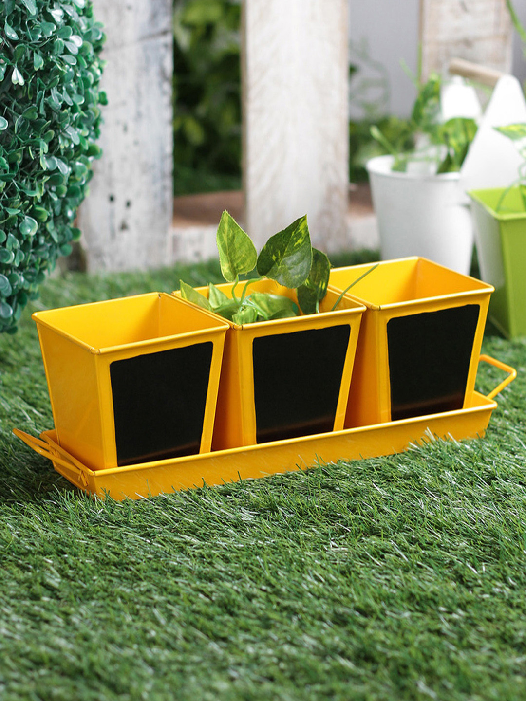 green girgit Set of 3 Metal Yellow Chalk Board Painted Herb Planter