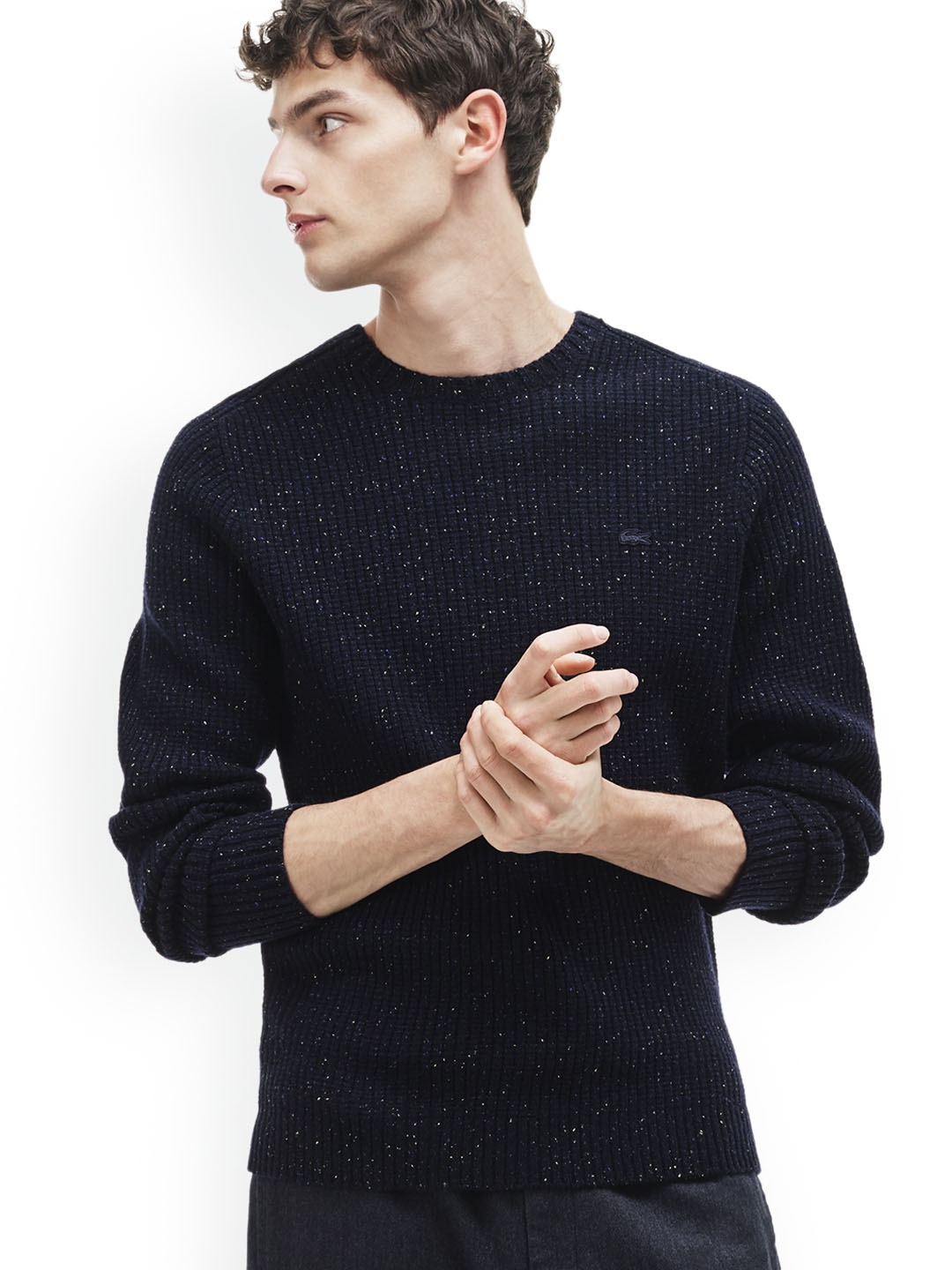 lacoste navy sweater