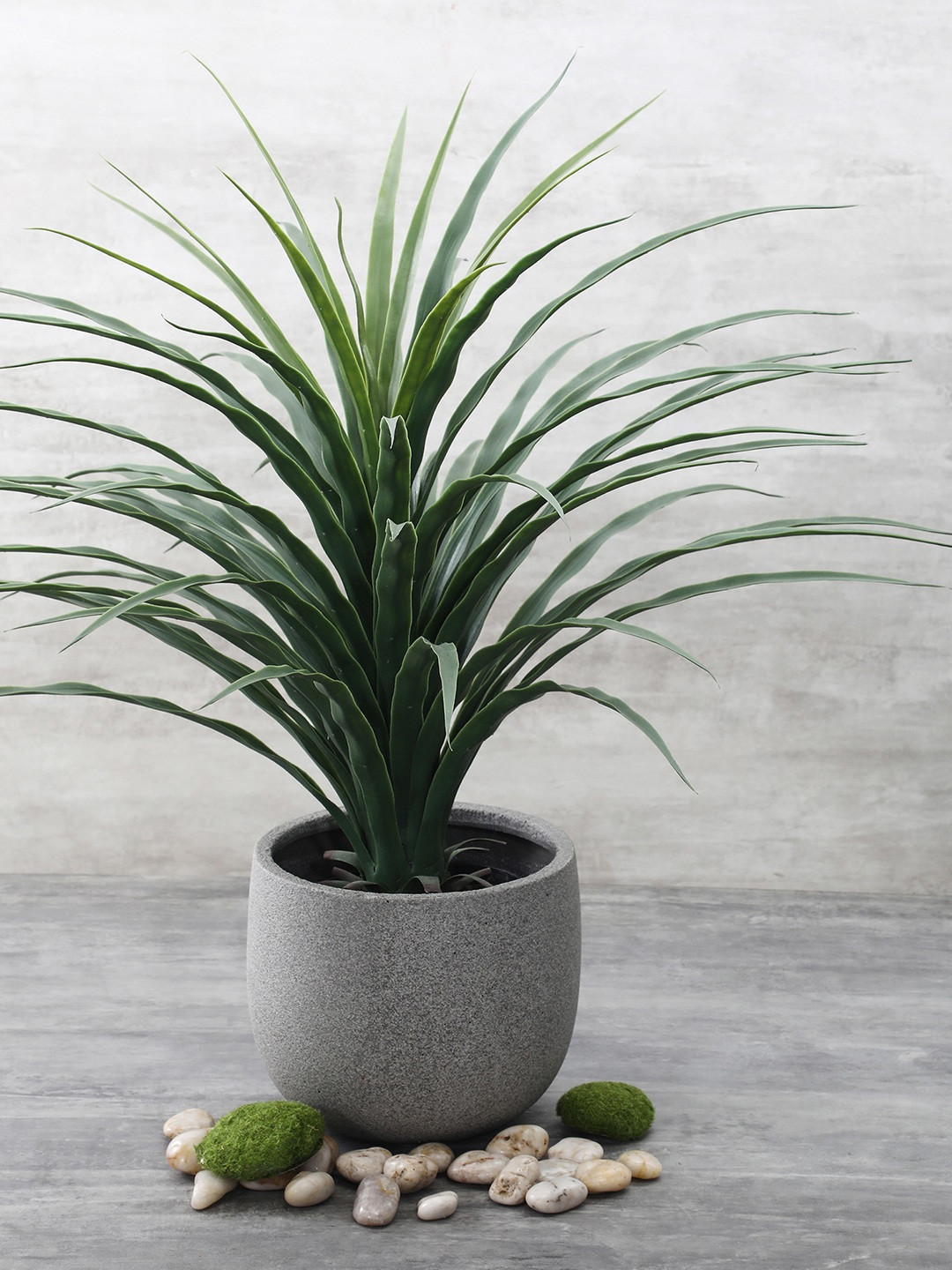 Pure Home and Living Grey Solid Round Classic Planter