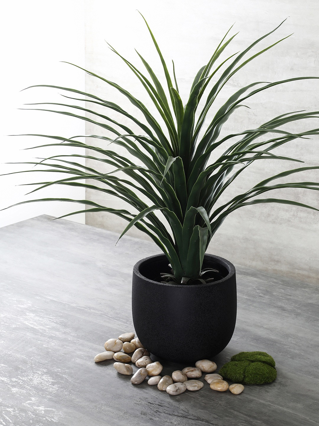 Pure Home and Living Black Large Classic Planter Vase