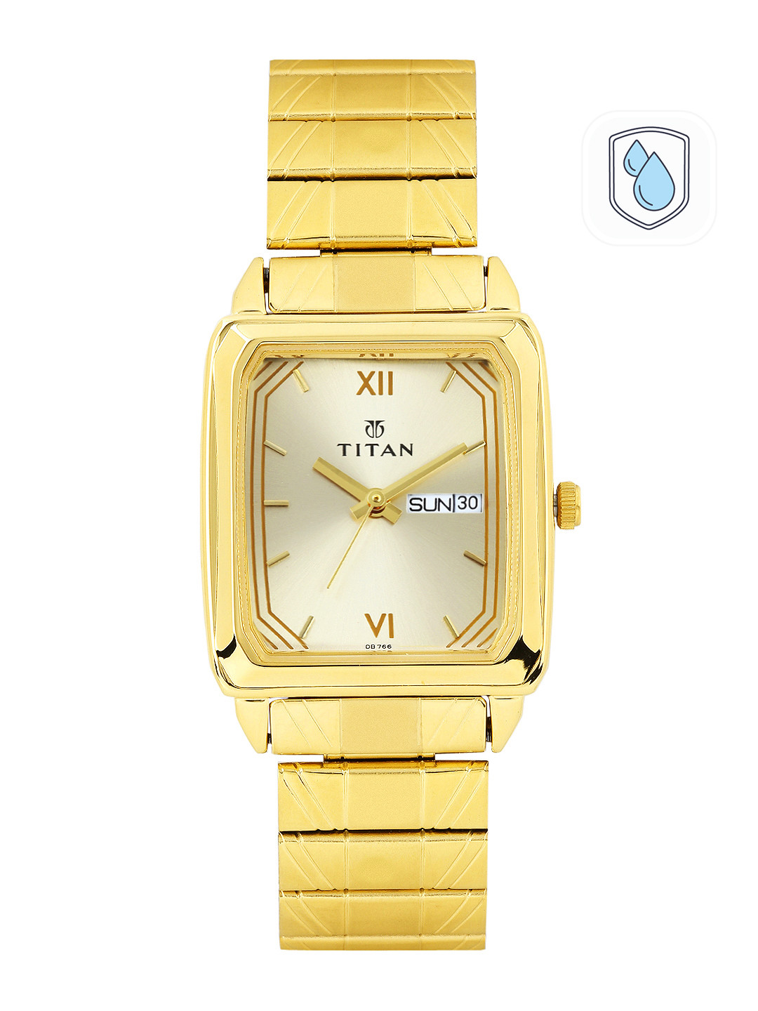 Titan Karishma Men Gold Analogue watch NL1581YM05