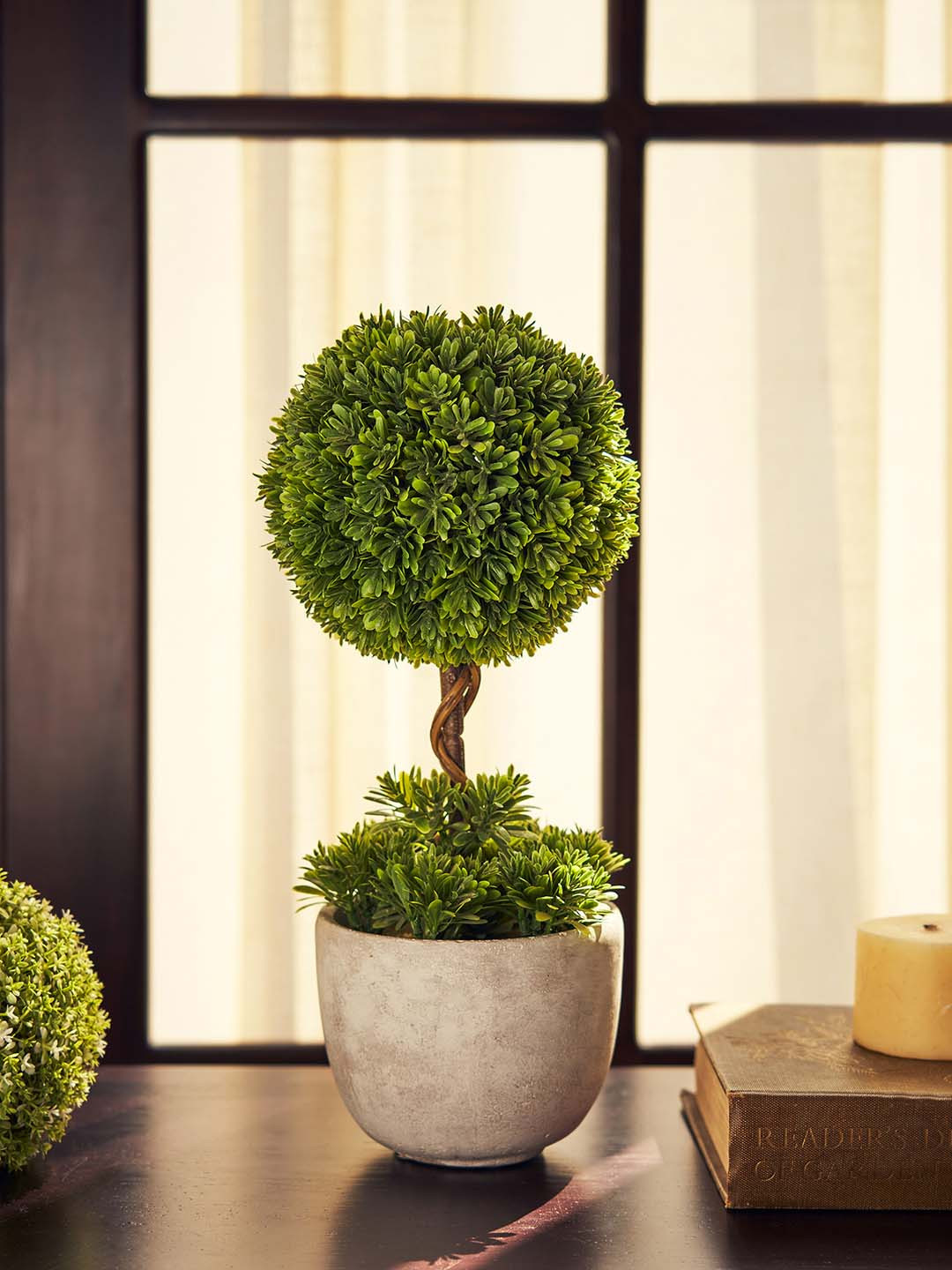 Pure Home and Living Green & White Potted Green Plant