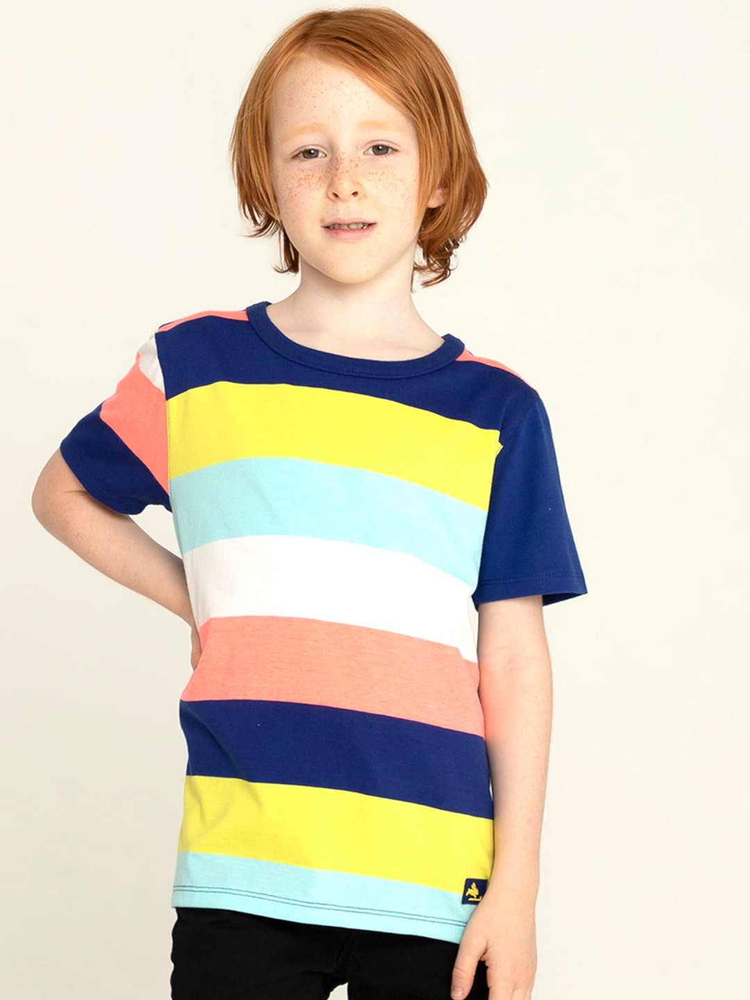 Cherry Crumble Boys Multicolor Color Block Stripy T-shirt
