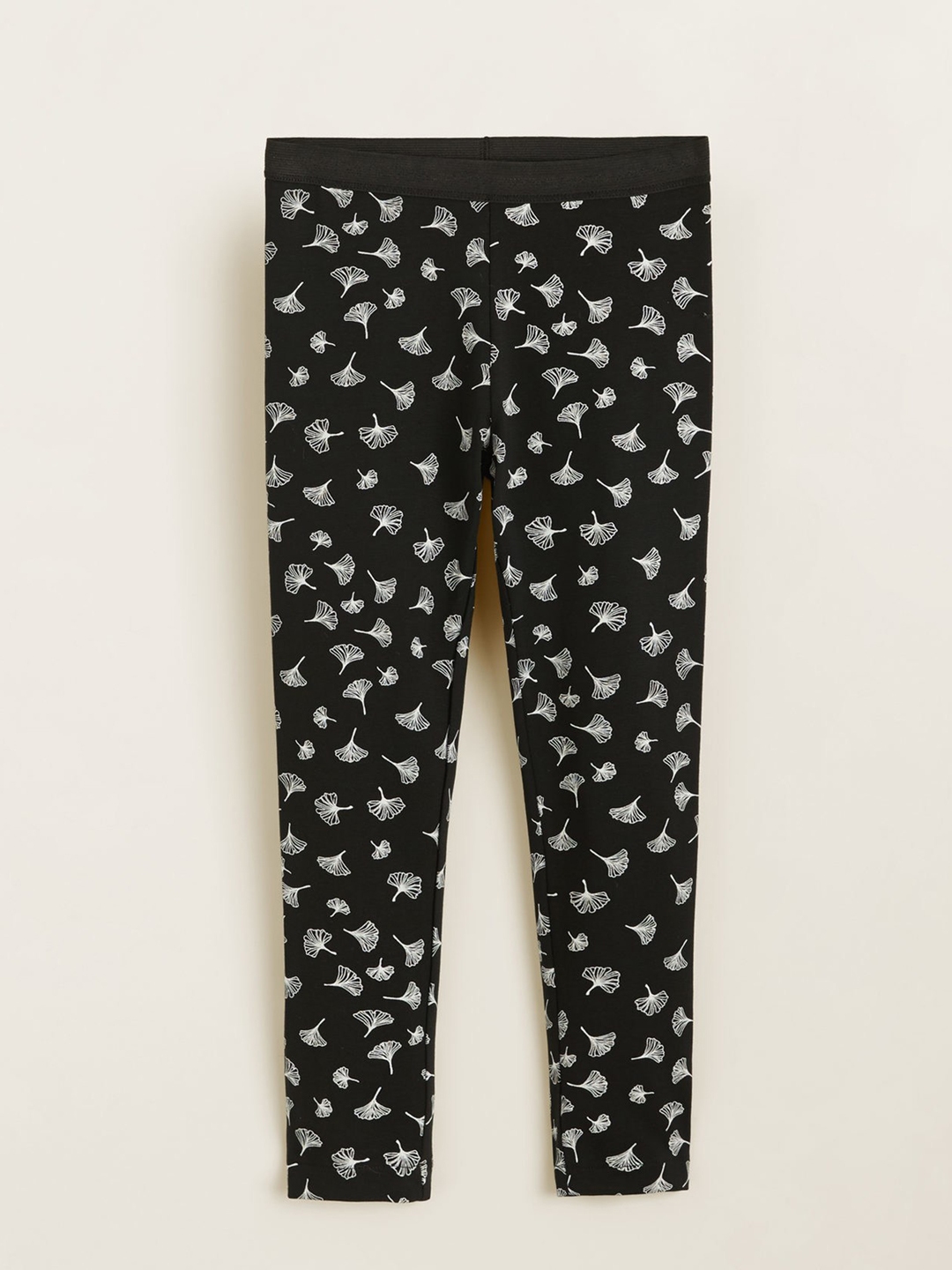 printed jeggings myntra