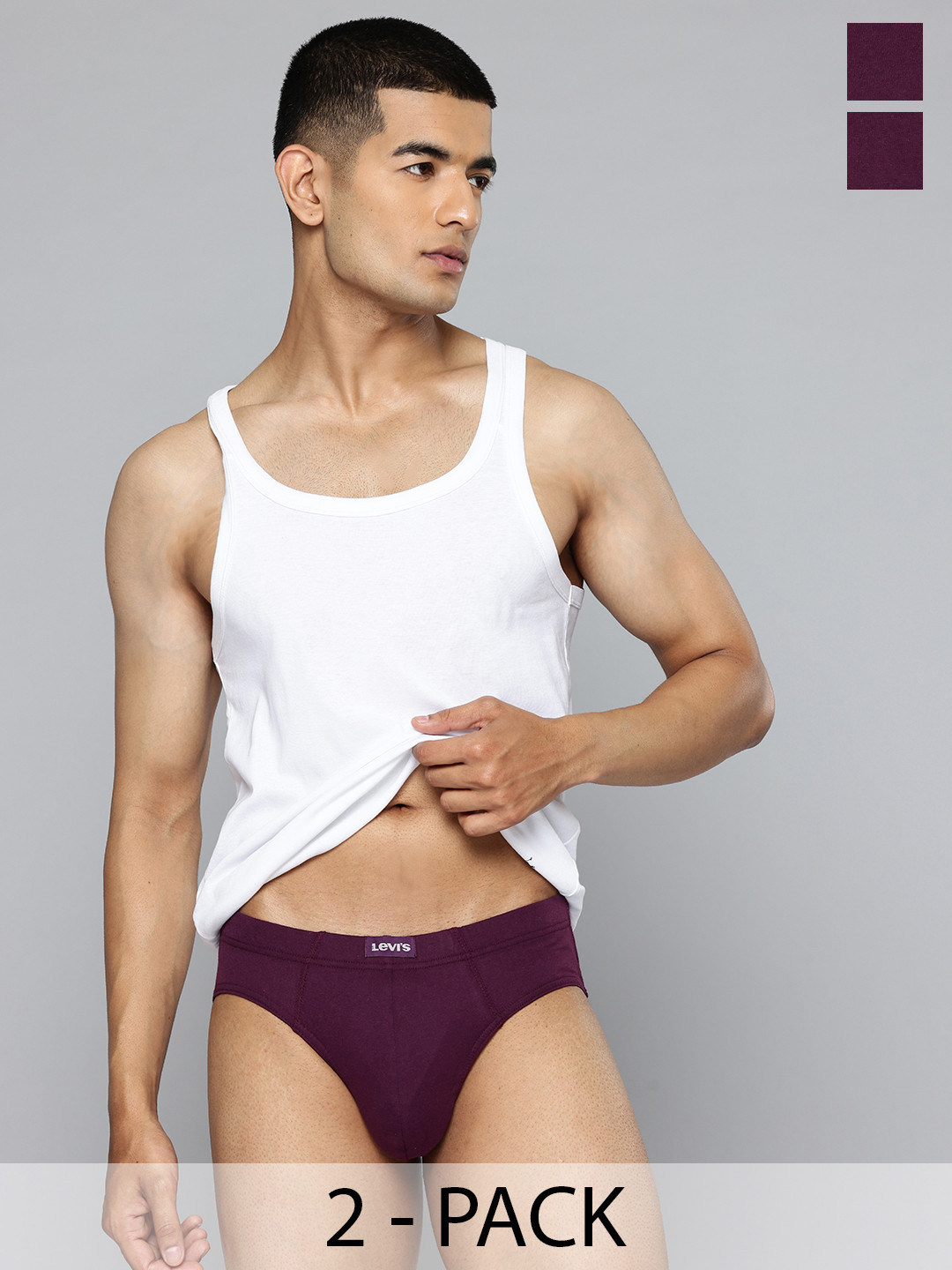 Levis Men Pack of 2 Cotton Briefs BF-100CA-2PK-STYLE-011-409