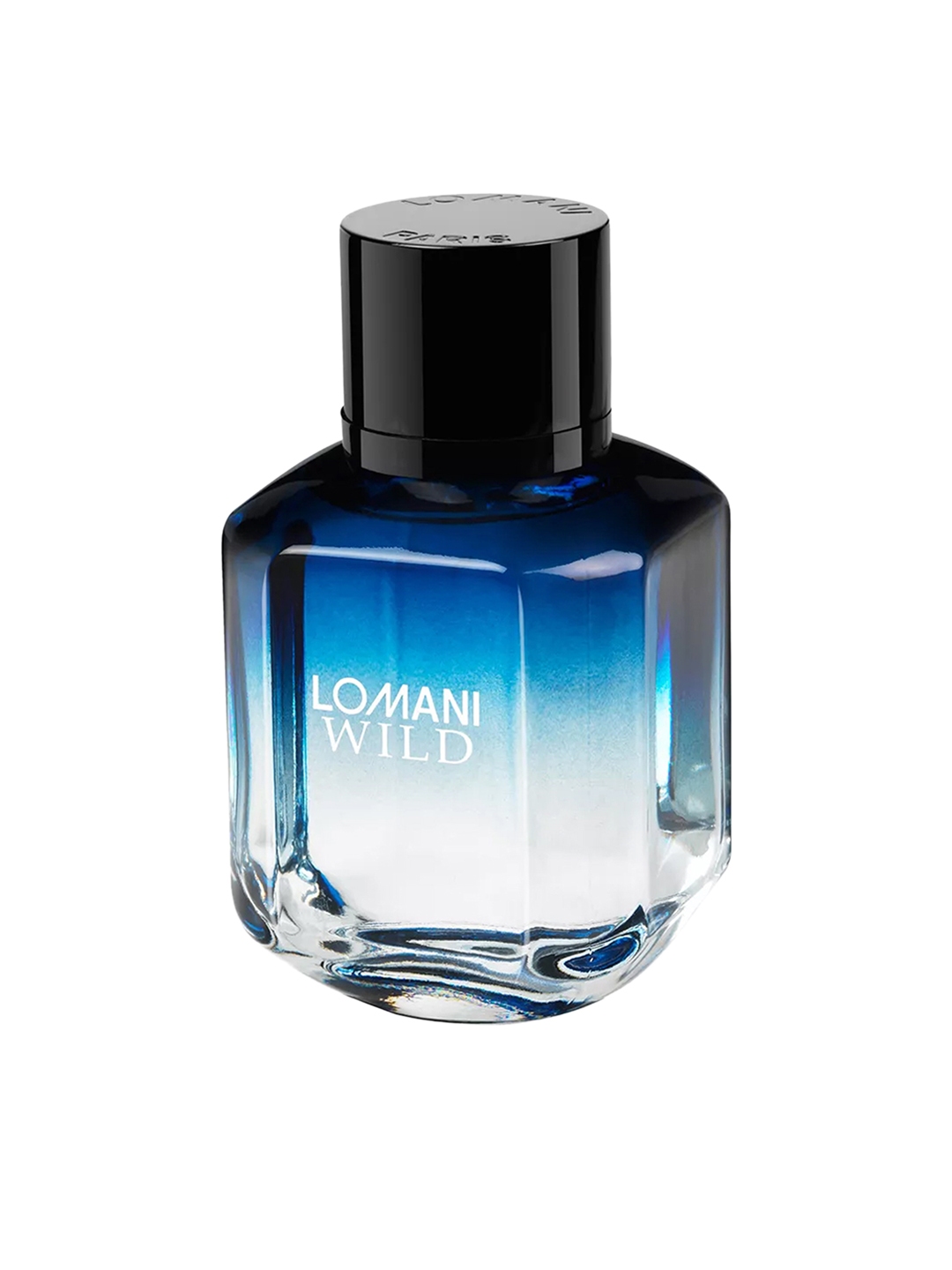 Lomani Men Wild EDT Perfume 100ml