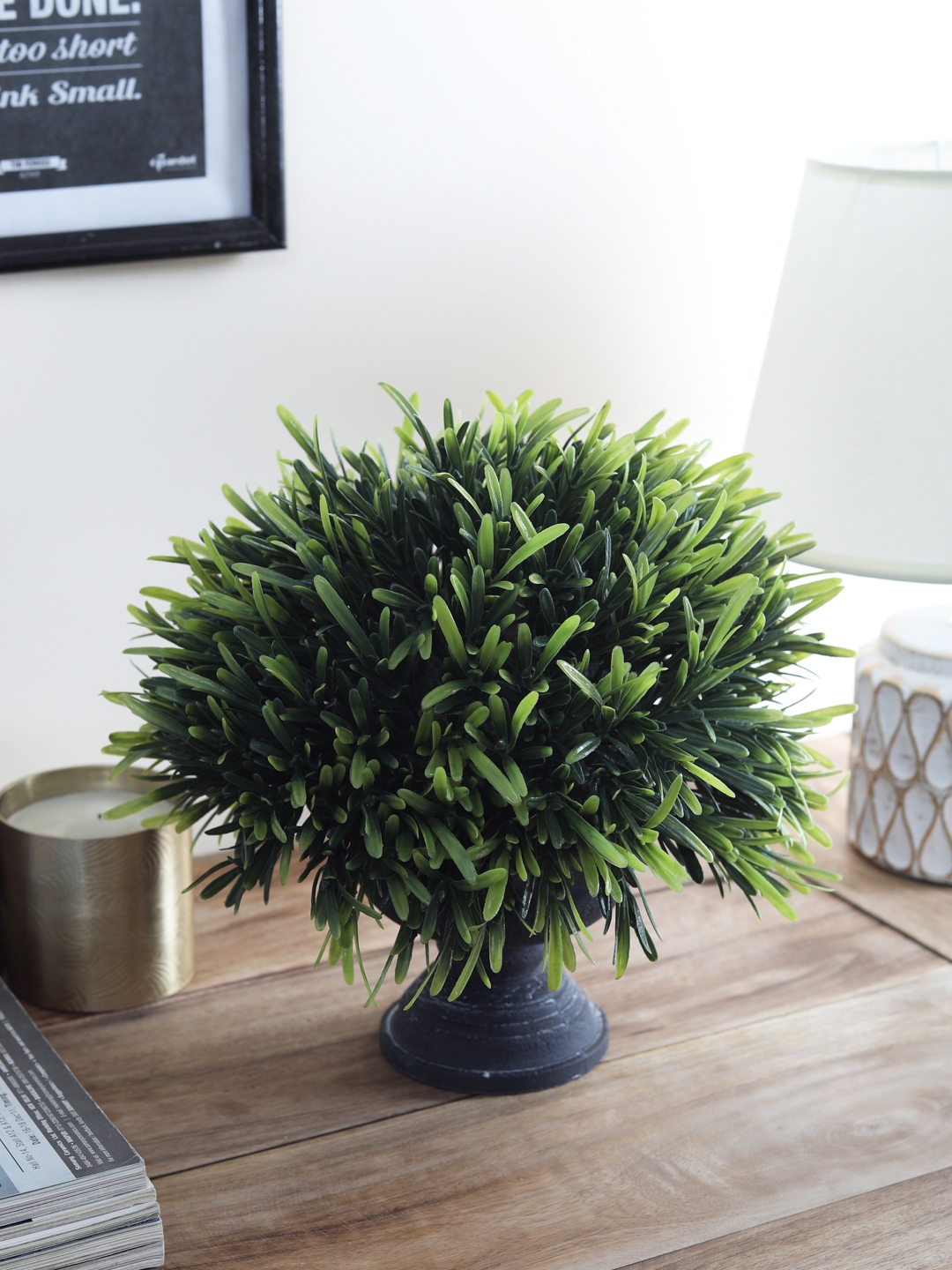 OddCroft Black & Green Hedgetopia Desk Plant With Pot