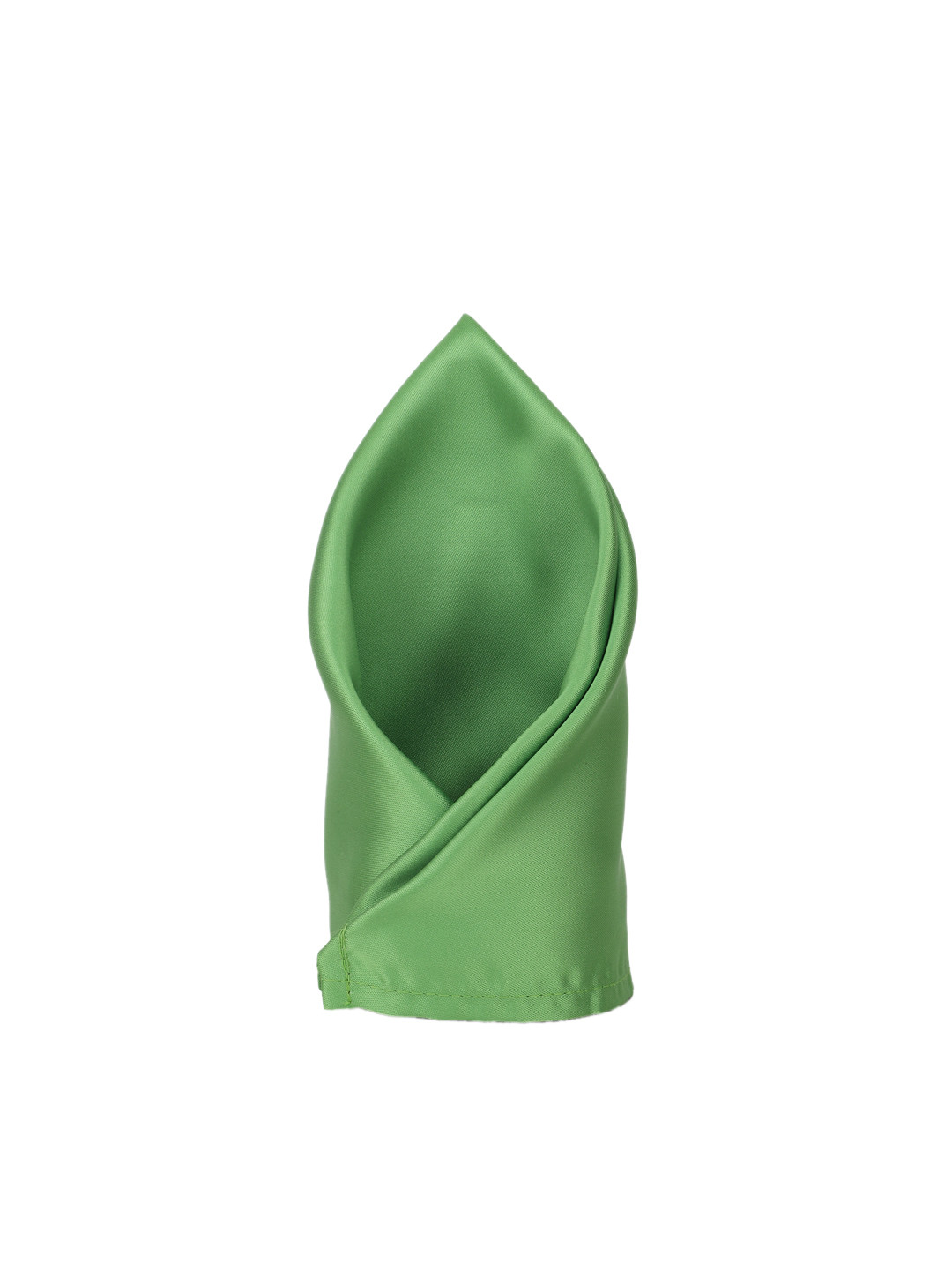 Peter England Men Green Solid Pocket Square