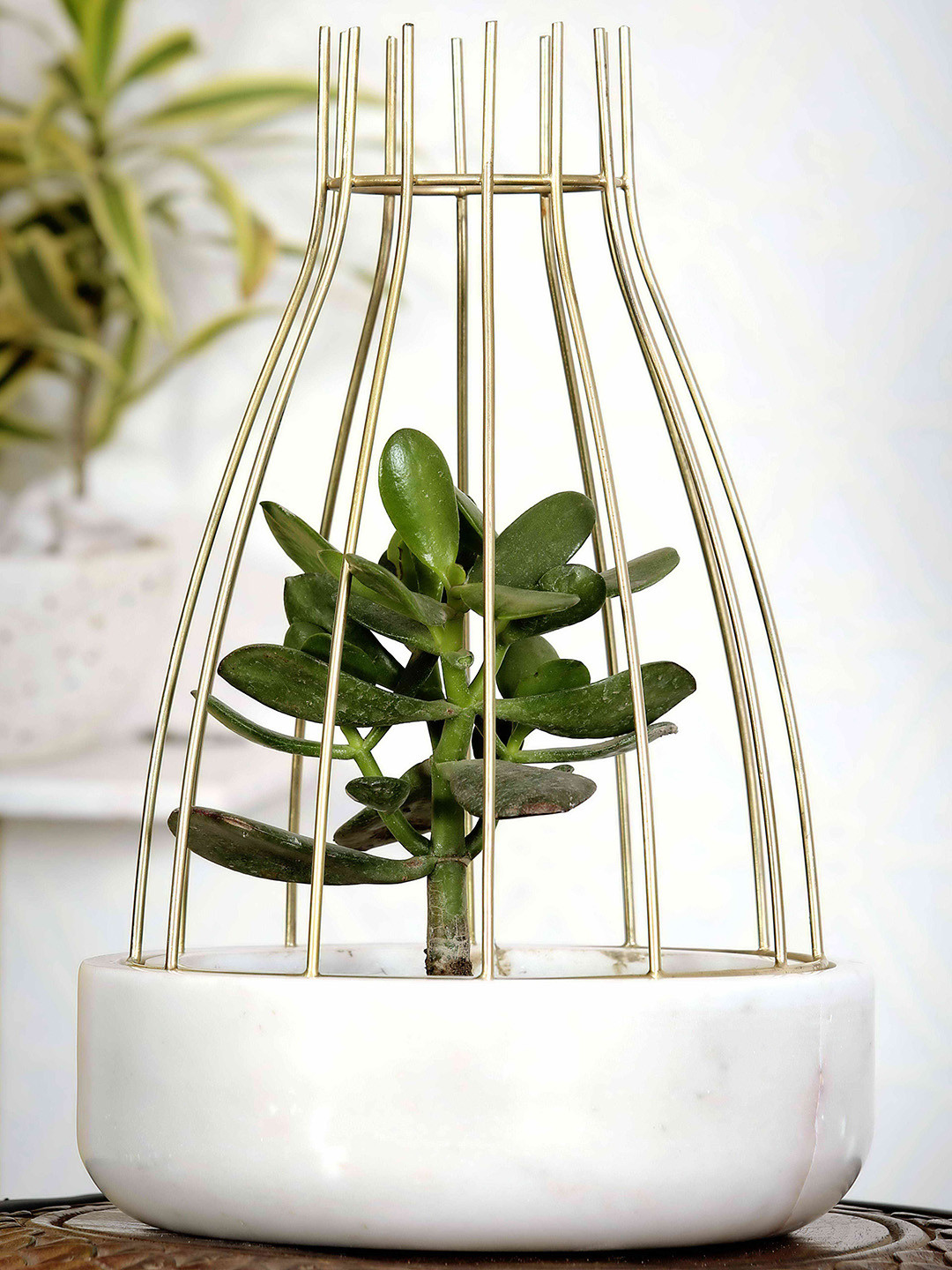 POSH-N-PLUSH White Marble with Gold Metal Web Planter